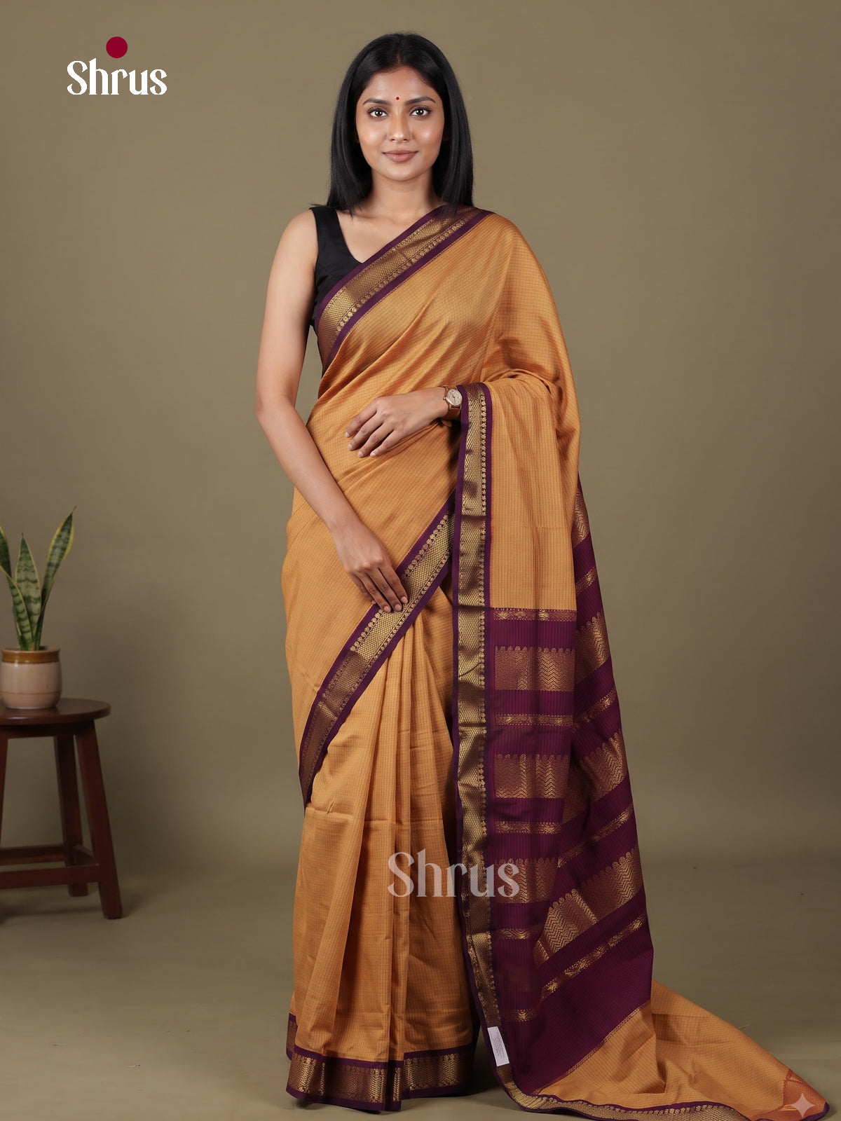 Kalyani Cotton Saree - ECS04137