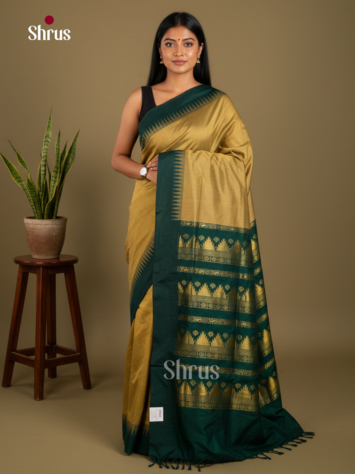 Kalyani Cotton Saree - ECS04145 - Shop on Shrus.com