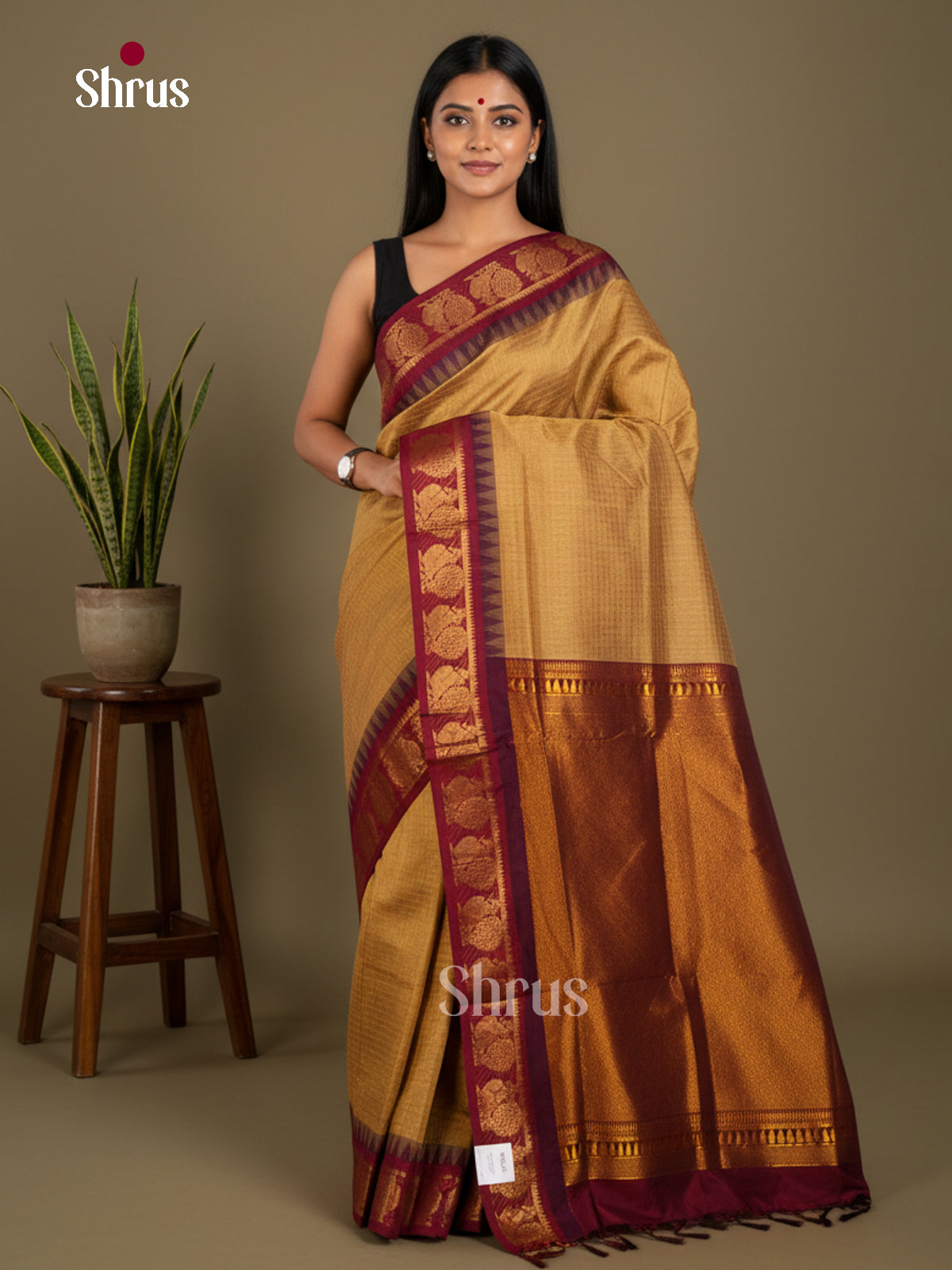 Beige & maroon -Kalyani Cotton Saree - ECS04203 - Shop on Shrus.com