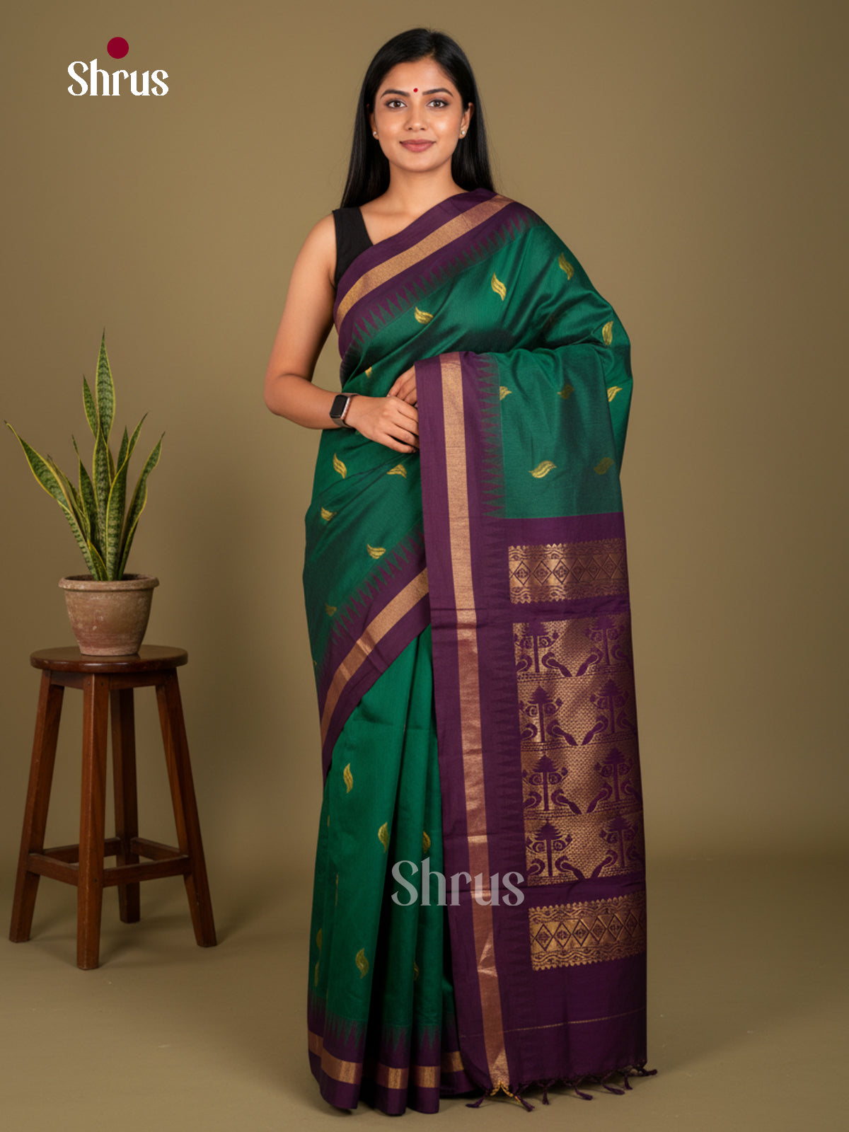 Kalyani Cotton Saree - ECS04248 - Shop on Shrus.com