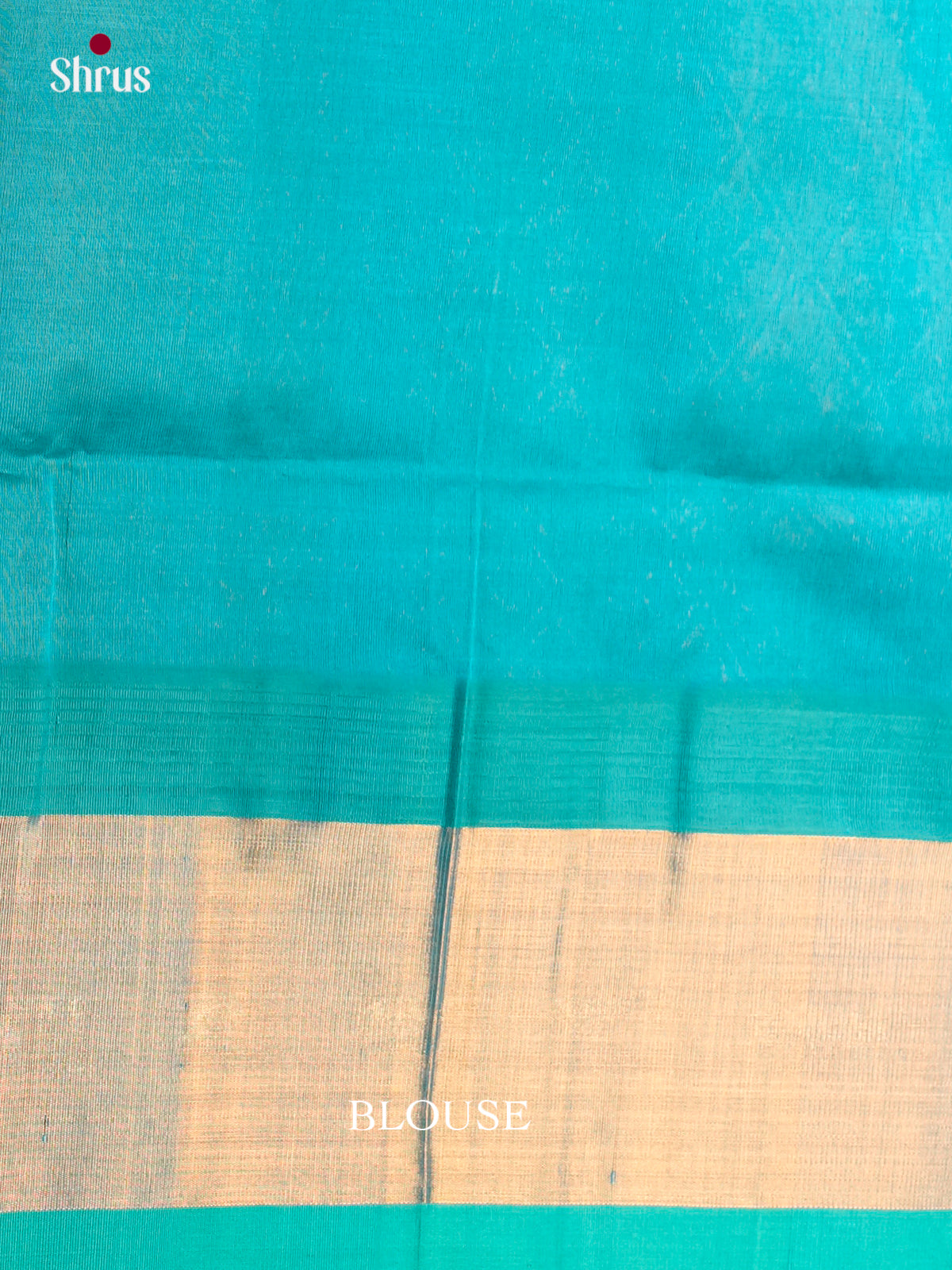 Silk Cotton Saree - ECS05002 - Shop on Shrus.com