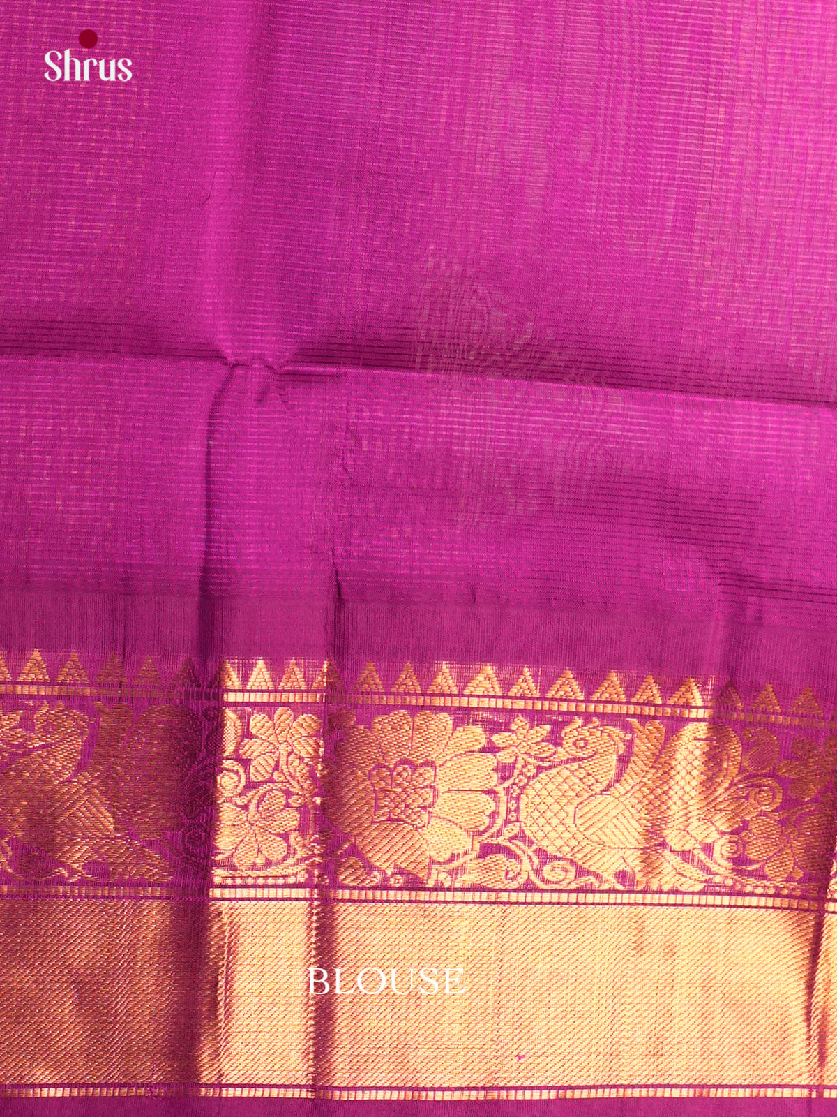 Silk Cotton Saree - ECS05017 - Shop on Shrus.com