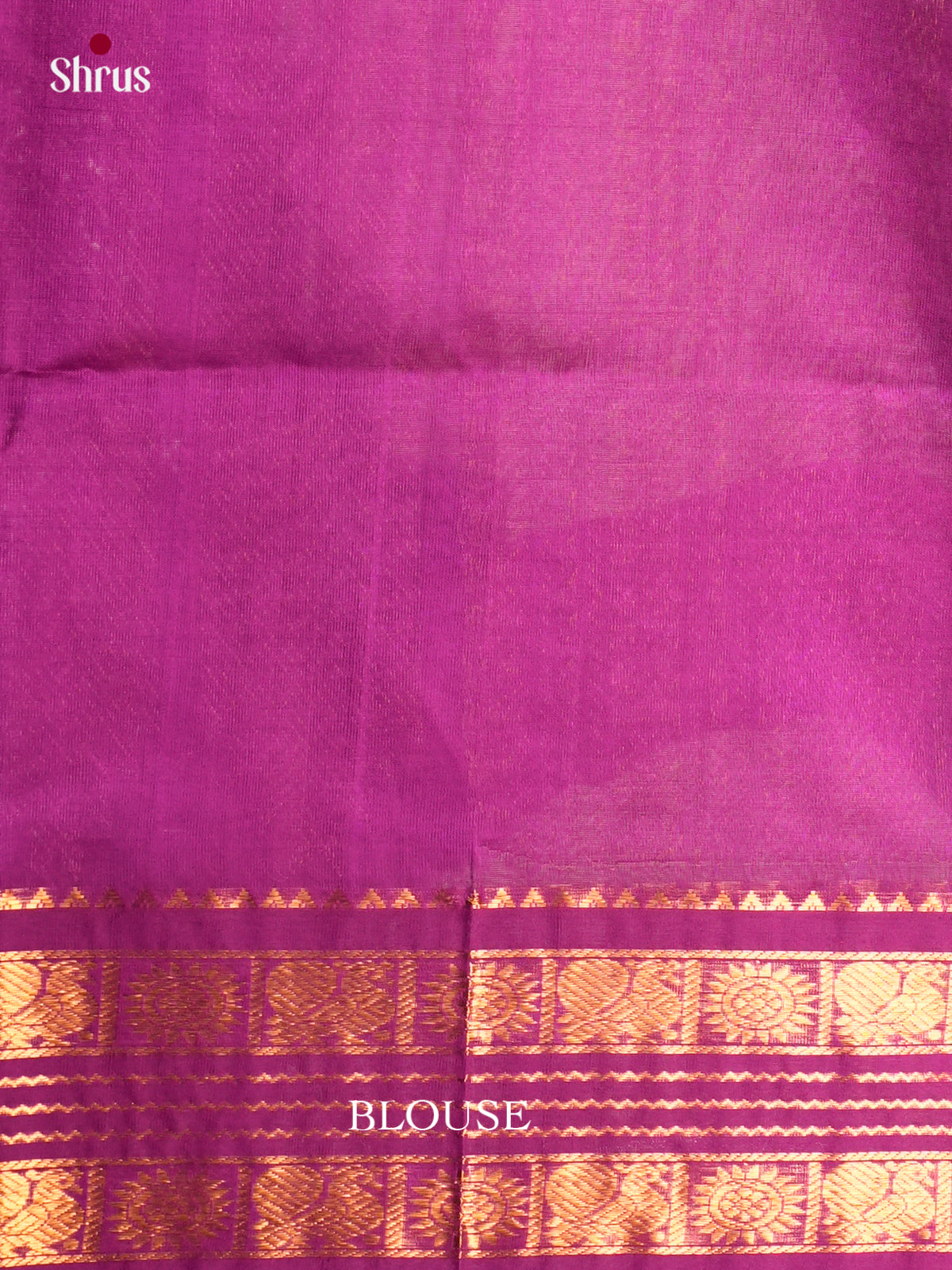 Silk Cotton Saree - ECS05038 - Shop on Shrus.com