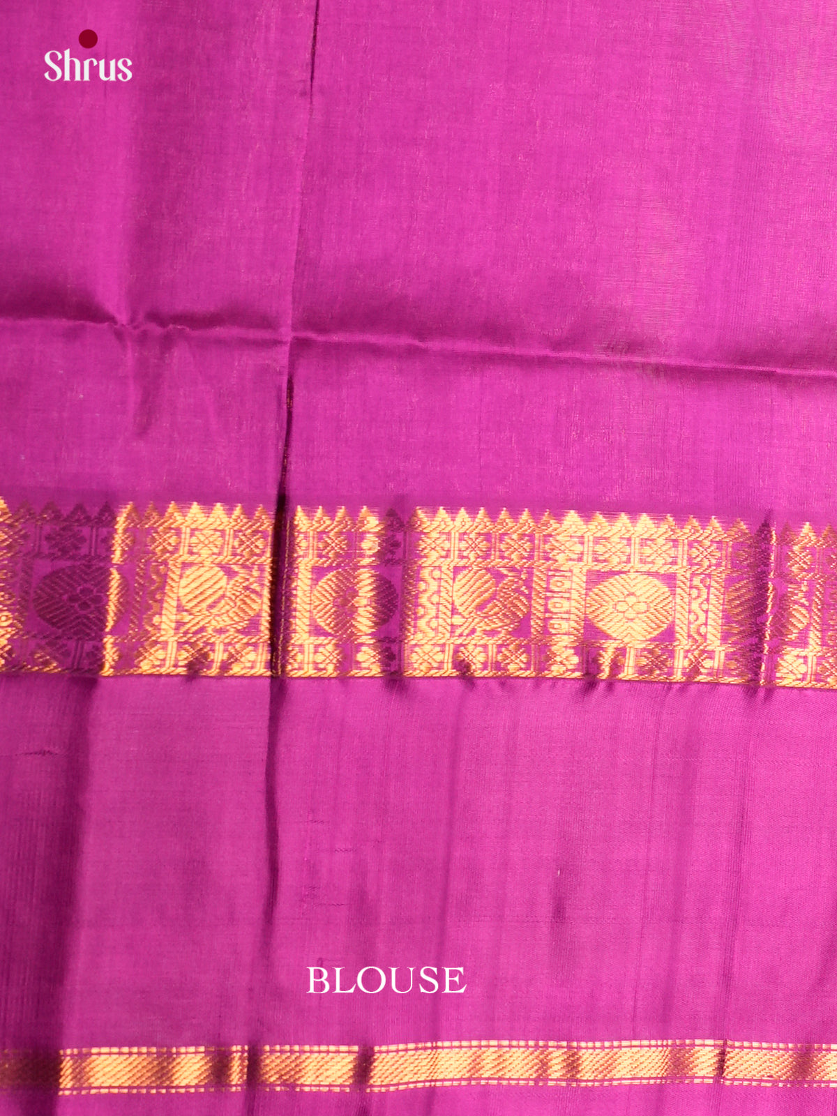 Silk Cotton Saree - ECS05042 - Shop on Shrus.com