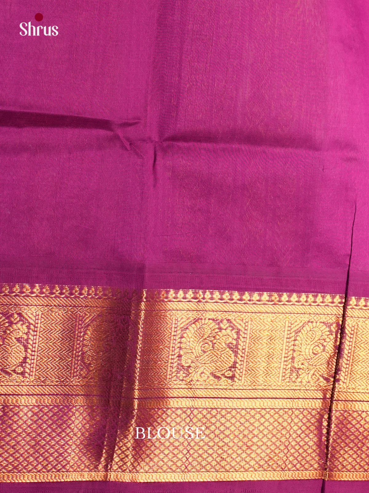 Korvai-Big border Saree - ECS05049 - Shop on Shrus.com