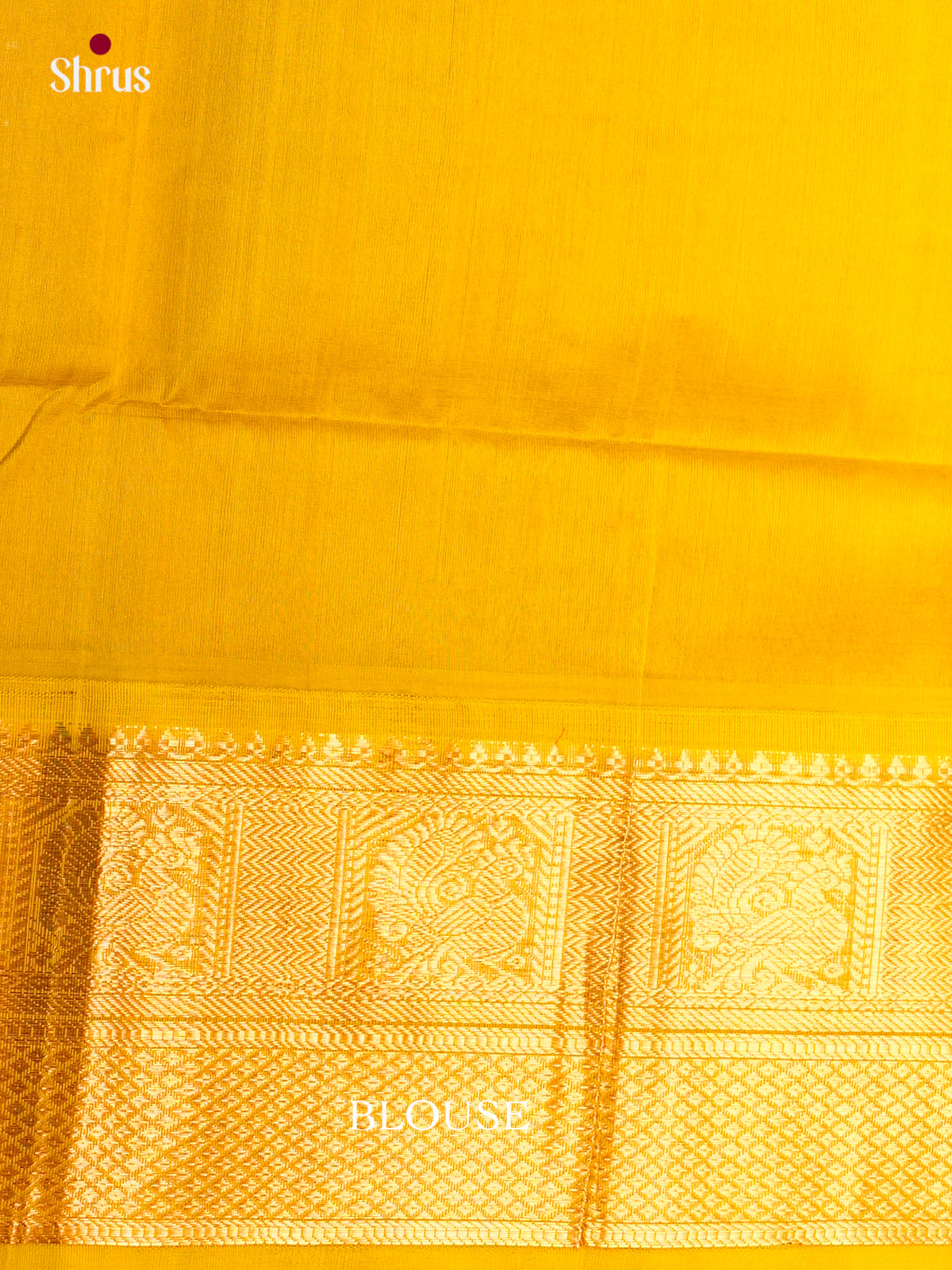 Silk Cotton Saree - ECS05051 - Shop on Shrus.com
