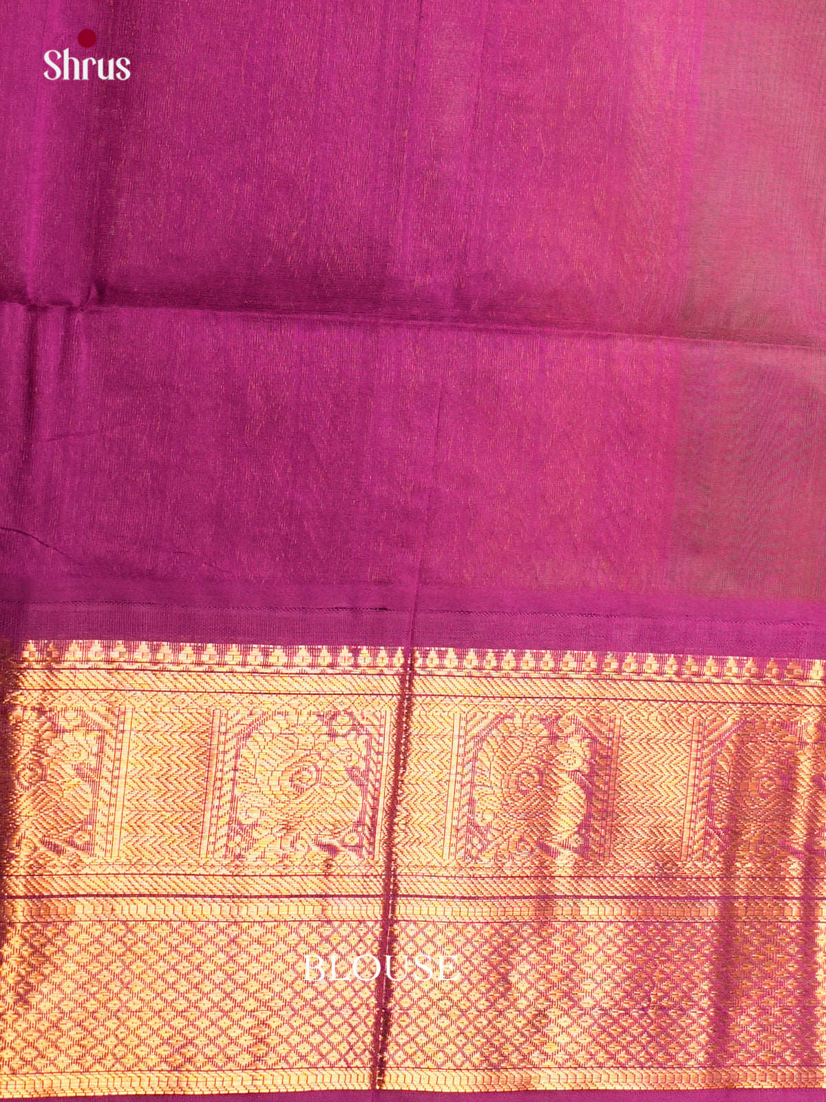Silk Cotton Saree - ECS05052 - Shop on Shrus.com