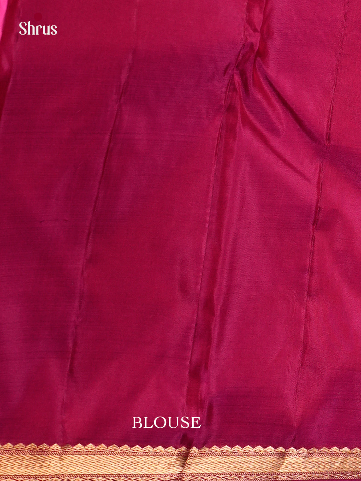 Kanchipuram silk Saree - ECS06117 - Shop on Shrus.com