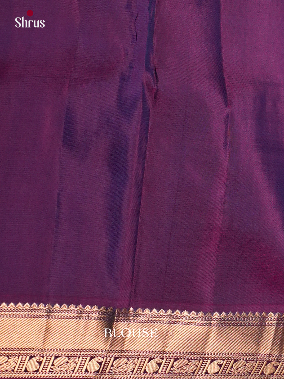 Kanchipuram silk Saree - ECS06126 - Shop on Shrus.com