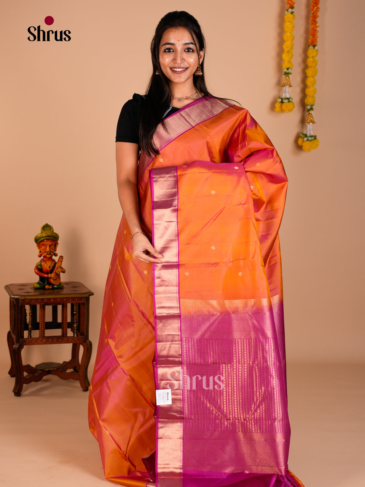 Kanchipuram silk Saree - ECS06128 - Shop on Shrus.com