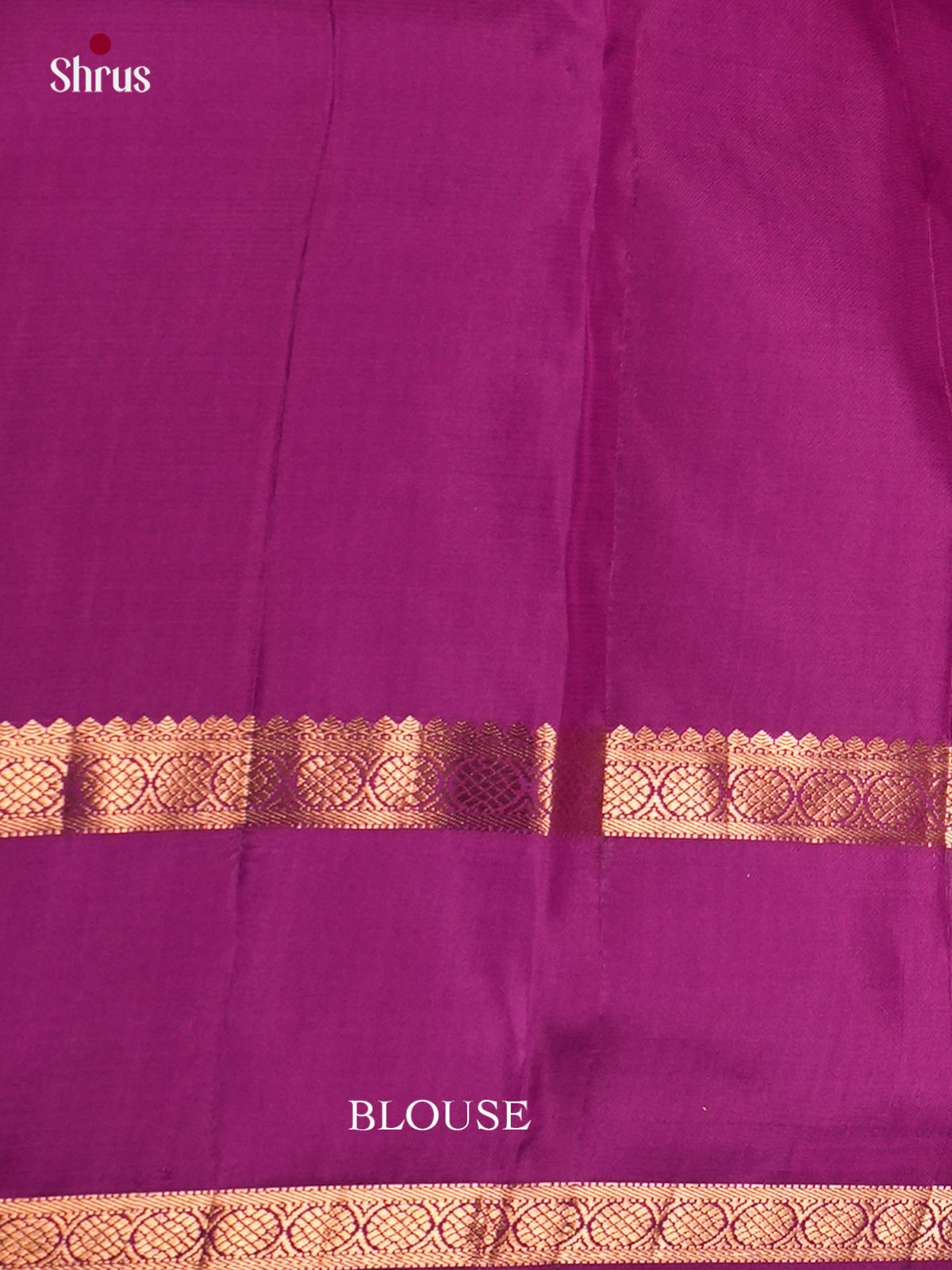 Kanchipuram silk Saree - ECS06130 - Shop on Shrus.com