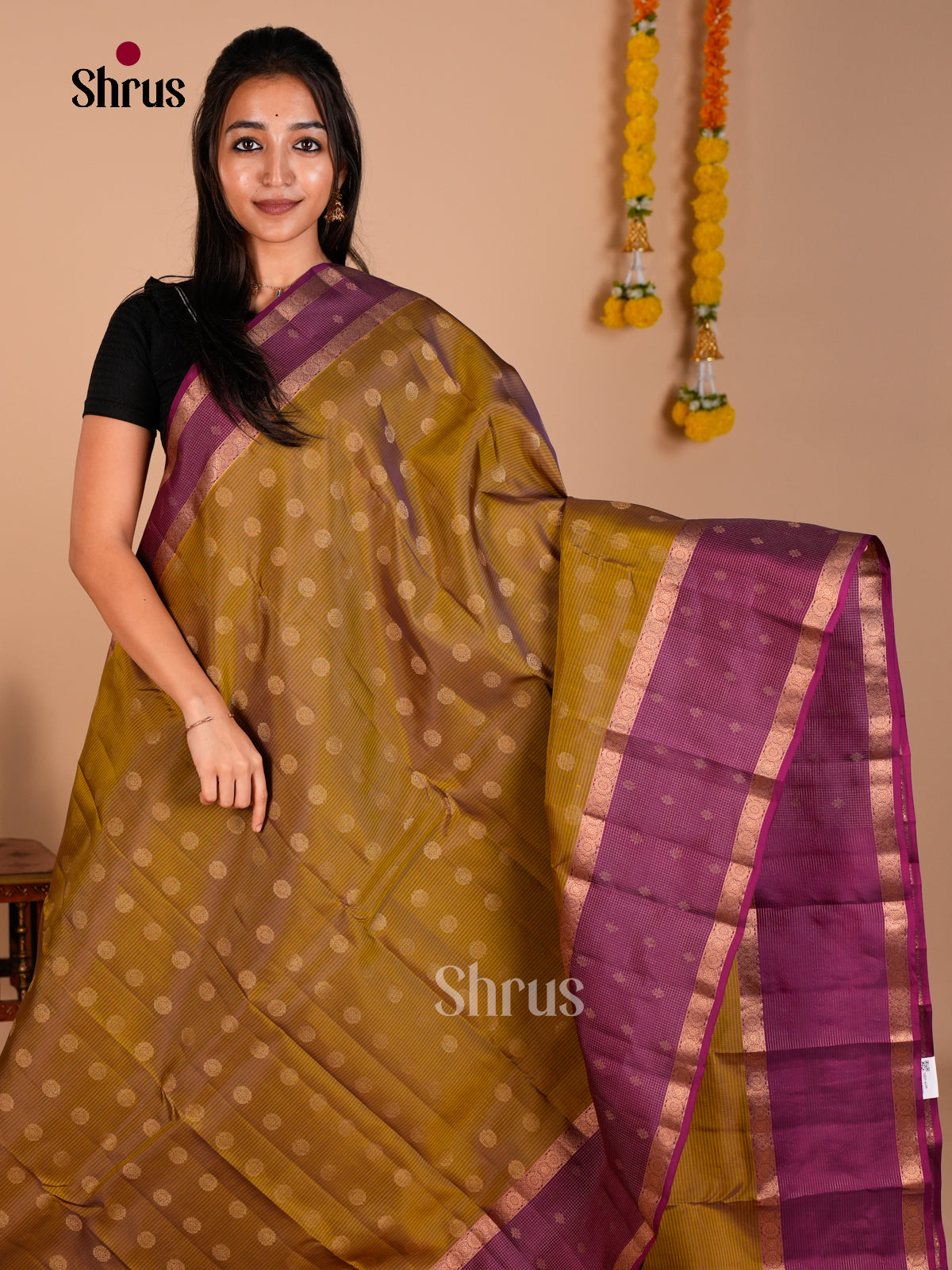 Kanchipuram-halfpure Saree - ECS06138 - Shop on Shrus.com