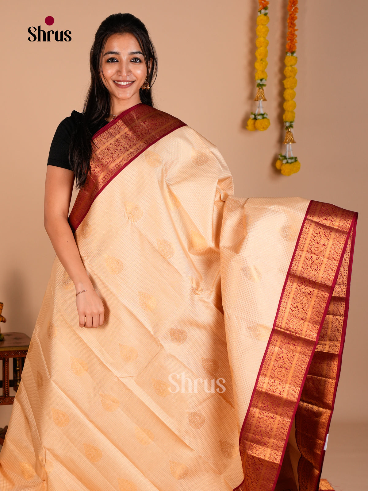 Kanchipuram silk Saree - ECS06184 - Shop on Shrus.com