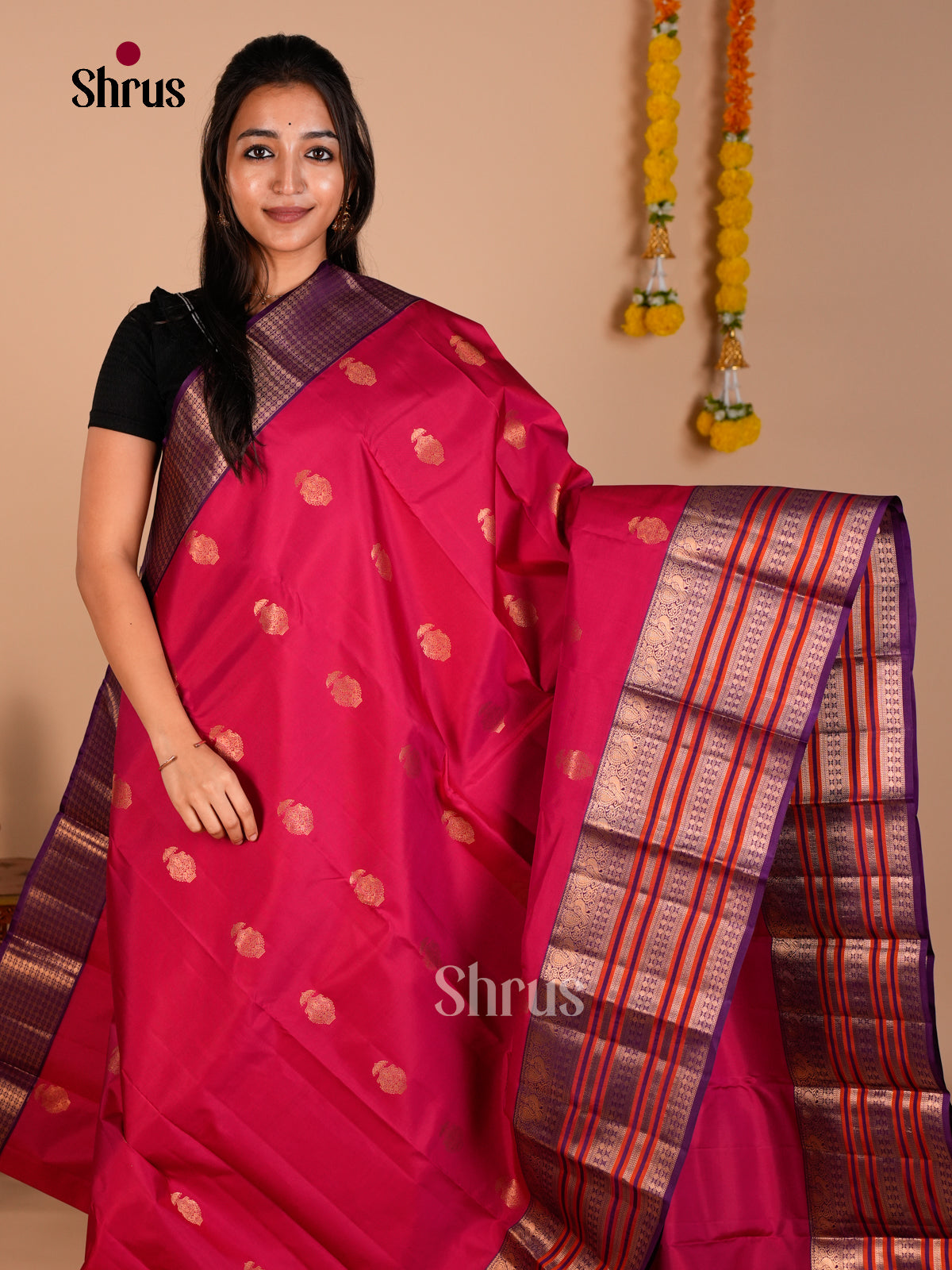 Kanchipuram silk Saree - ECS06192 - Shop on Shrus.com