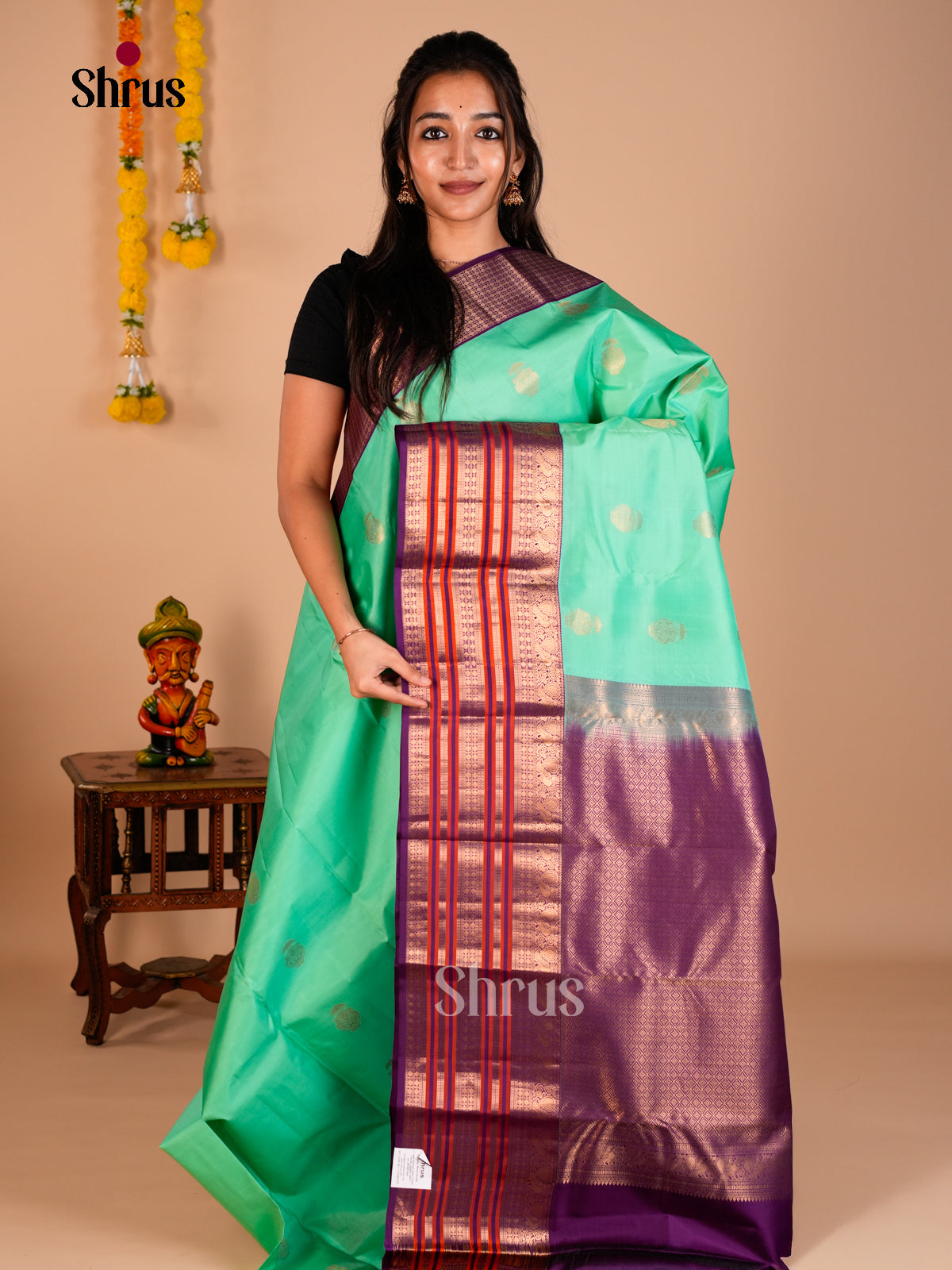 Kanchipuram silk Saree - ECS06194 - Shop on Shrus.com