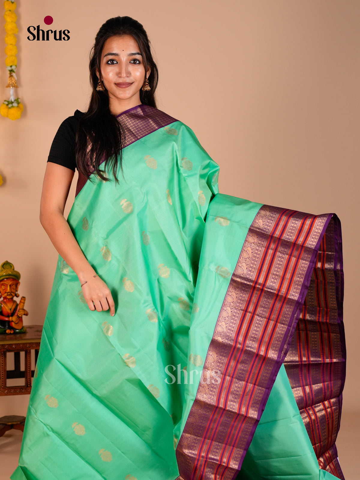 Kanchipuram silk Saree - ECS06194 - Shop on Shrus.com
