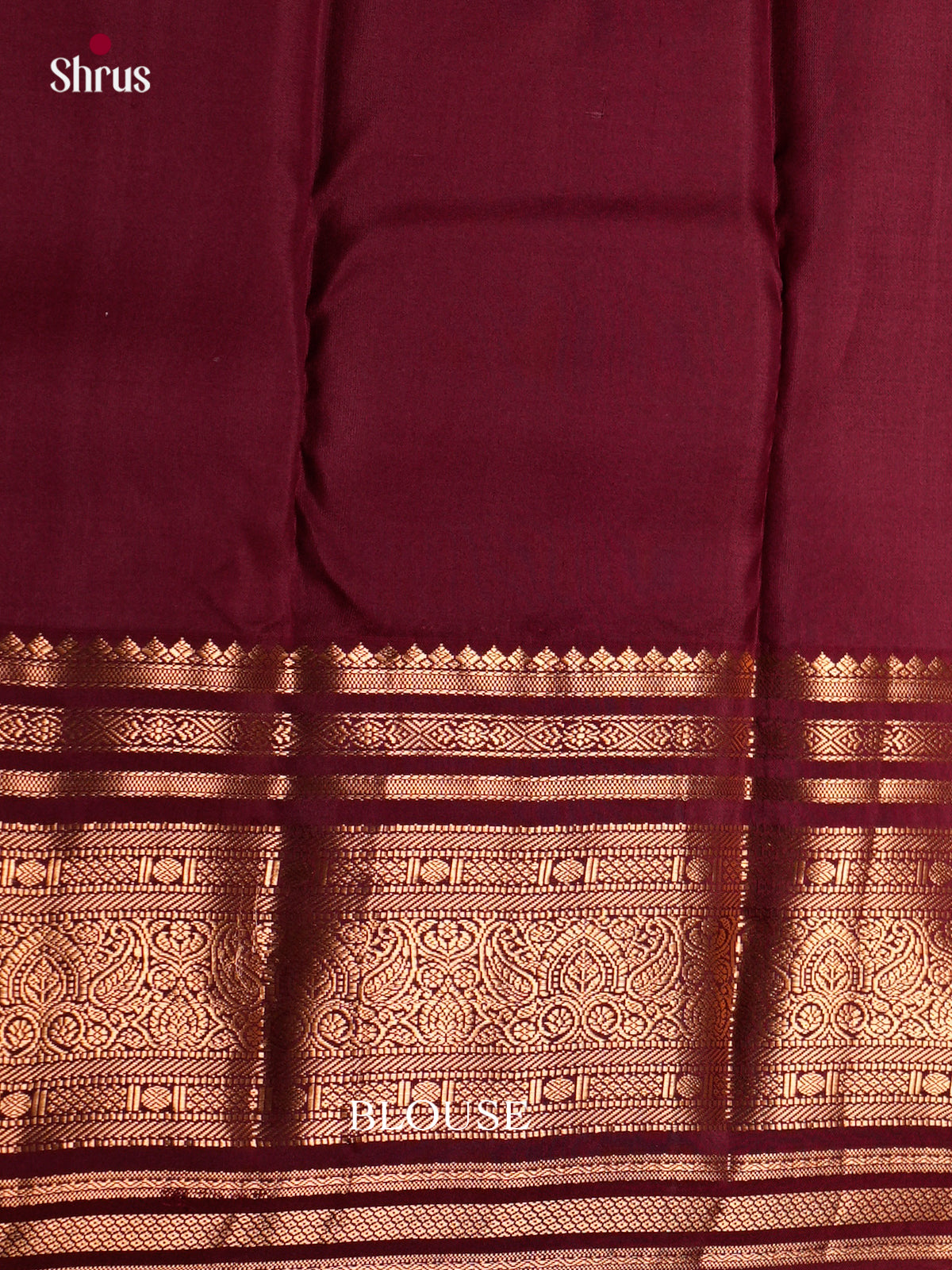 Kanchipuram silk Saree - ECS06195 - Shop on Shrus.com