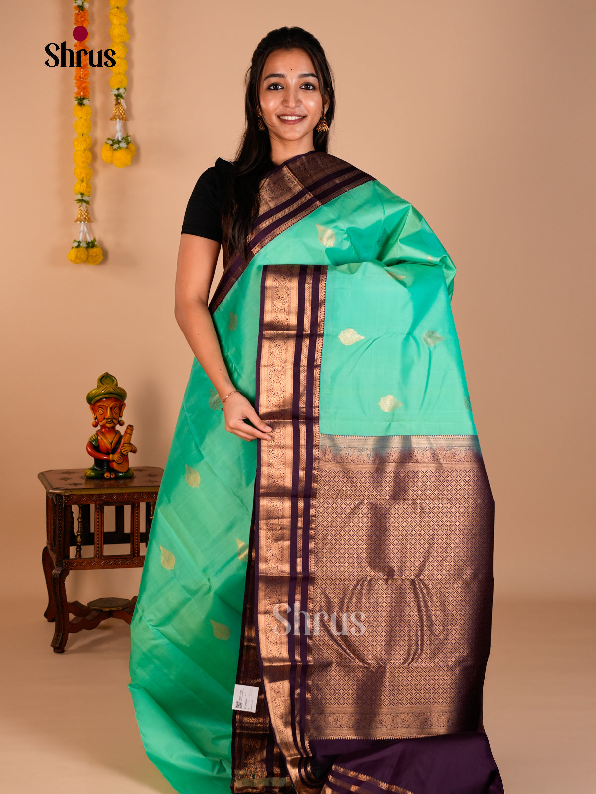 Kanchipuram silk Saree - ECS06199 - Shop on Shrus.com