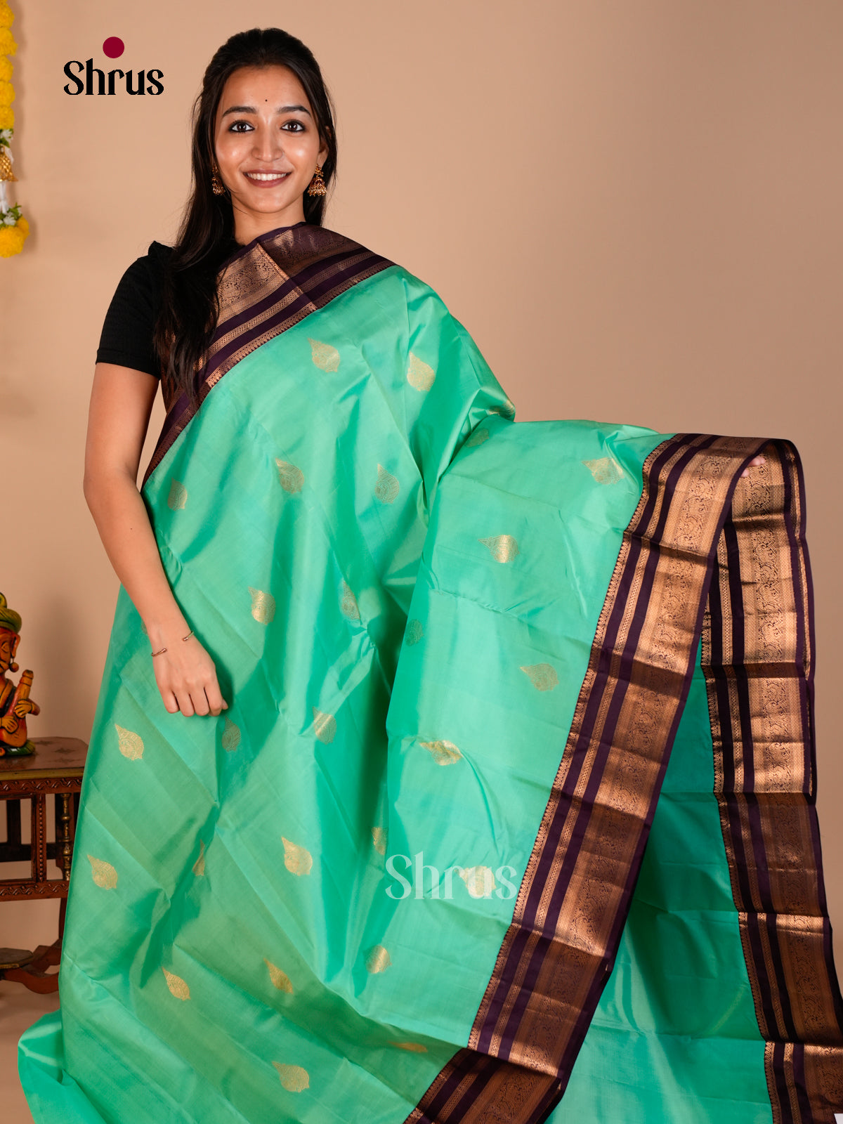 Kanchipuram silk Saree - ECS06199 - Shop on Shrus.com
