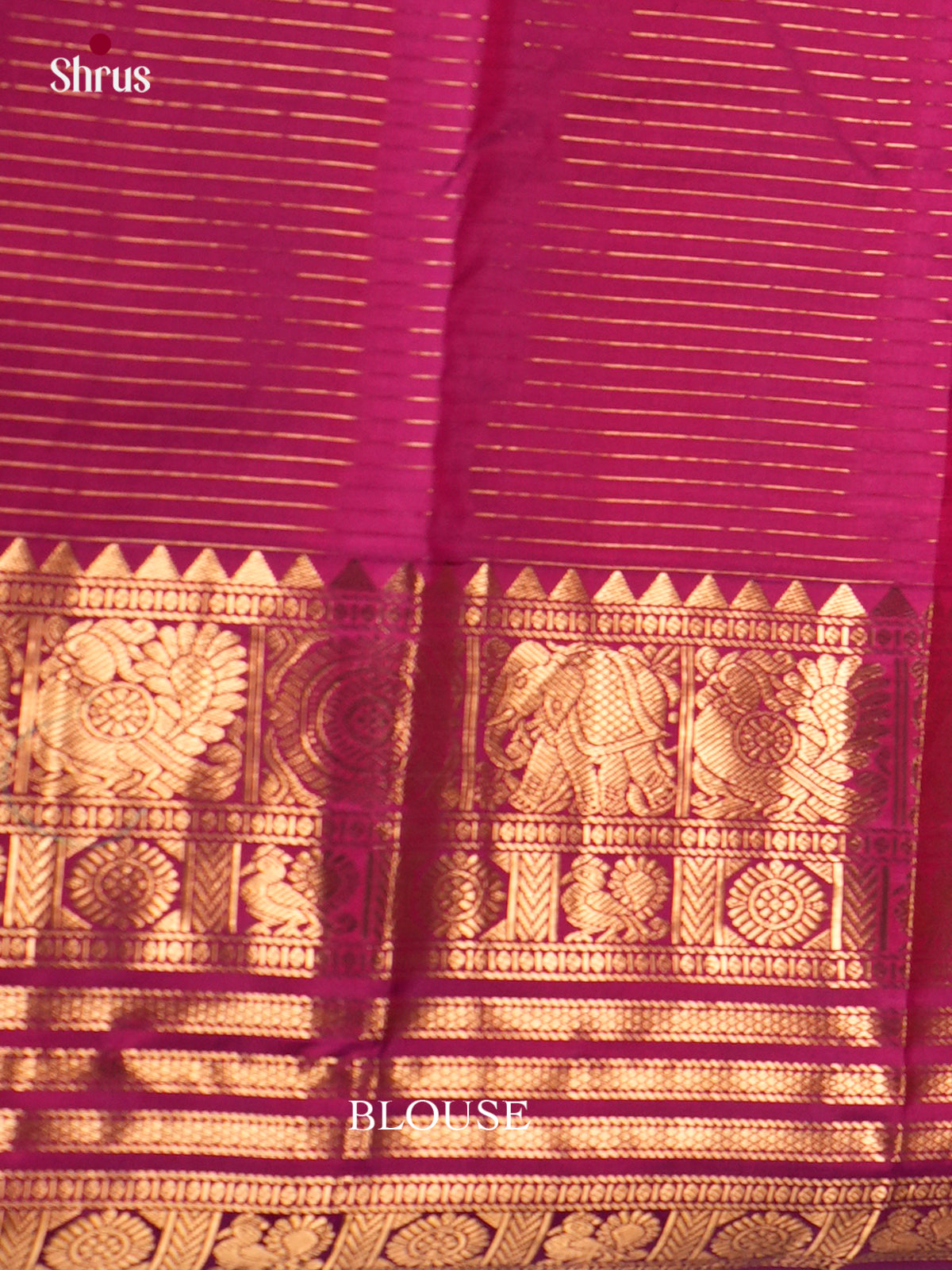 Kanchipuram silk Saree - ECS06206 - Shop on Shrus.com