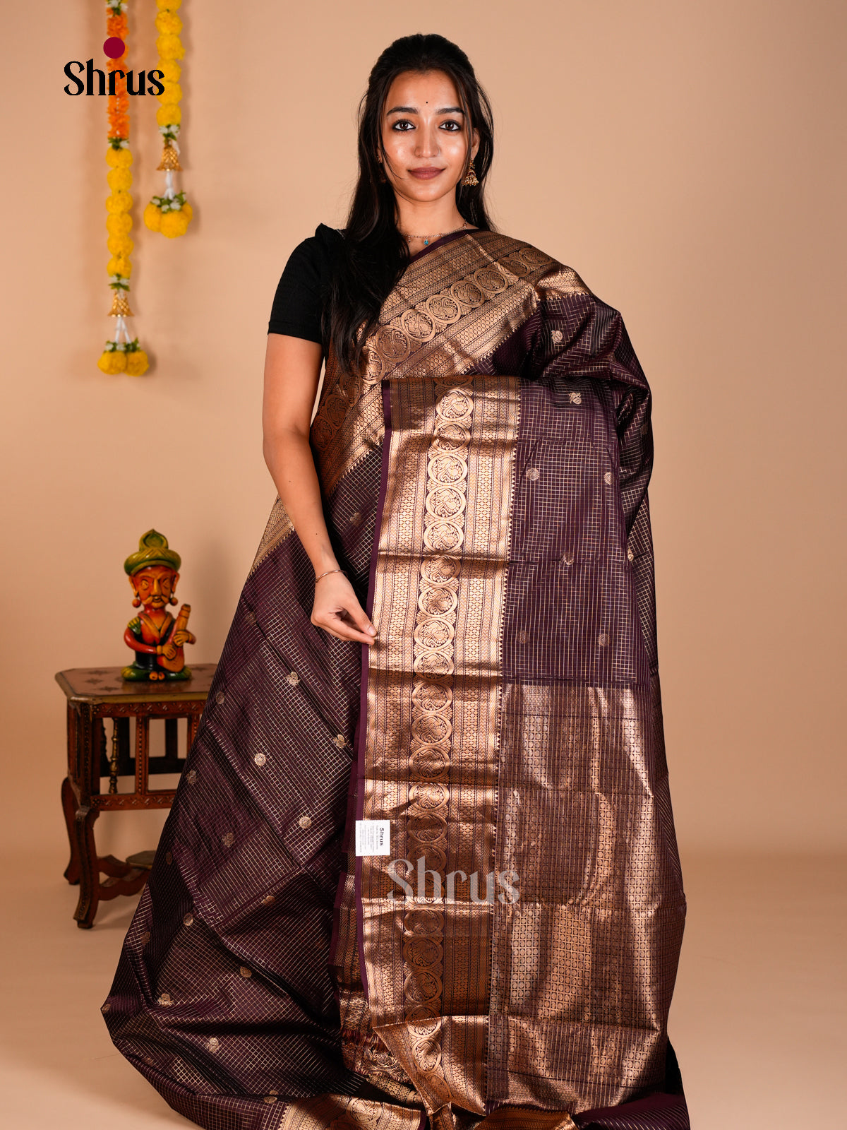 Kanchipuram silk Saree - ECS06209 - Shop on Shrus.com