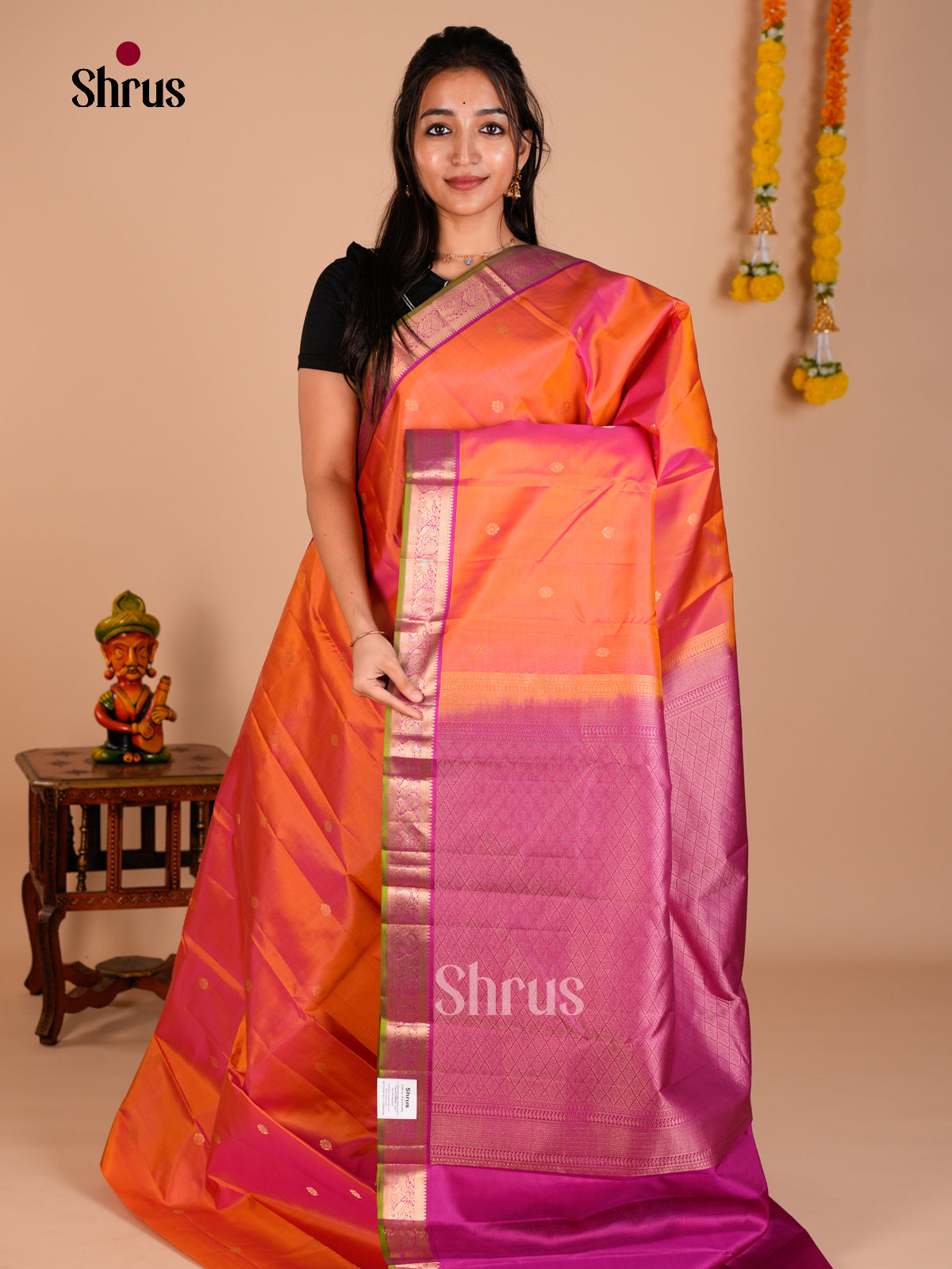 Kanchipuram silk Saree - ECS06217 - Shop on Shrus.com