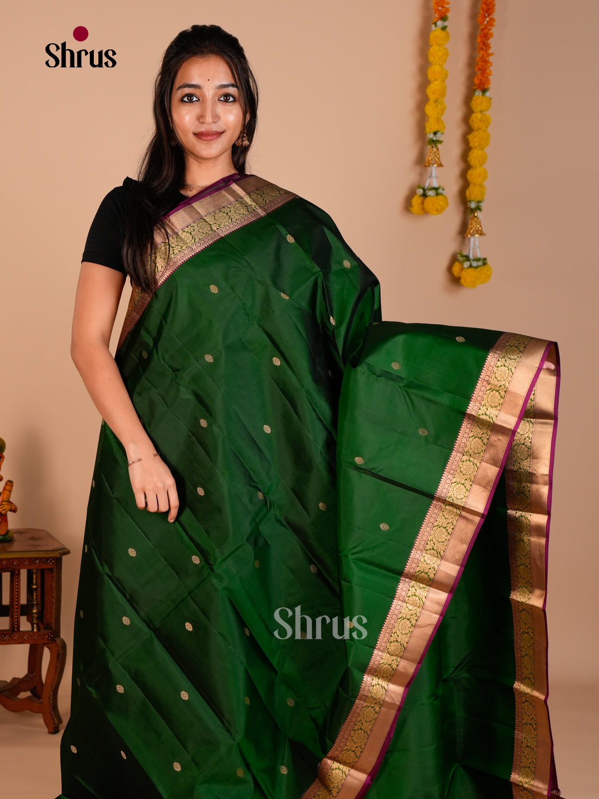 Kanchipuram silk Saree - ECS06226 - Shop on Shrus.com