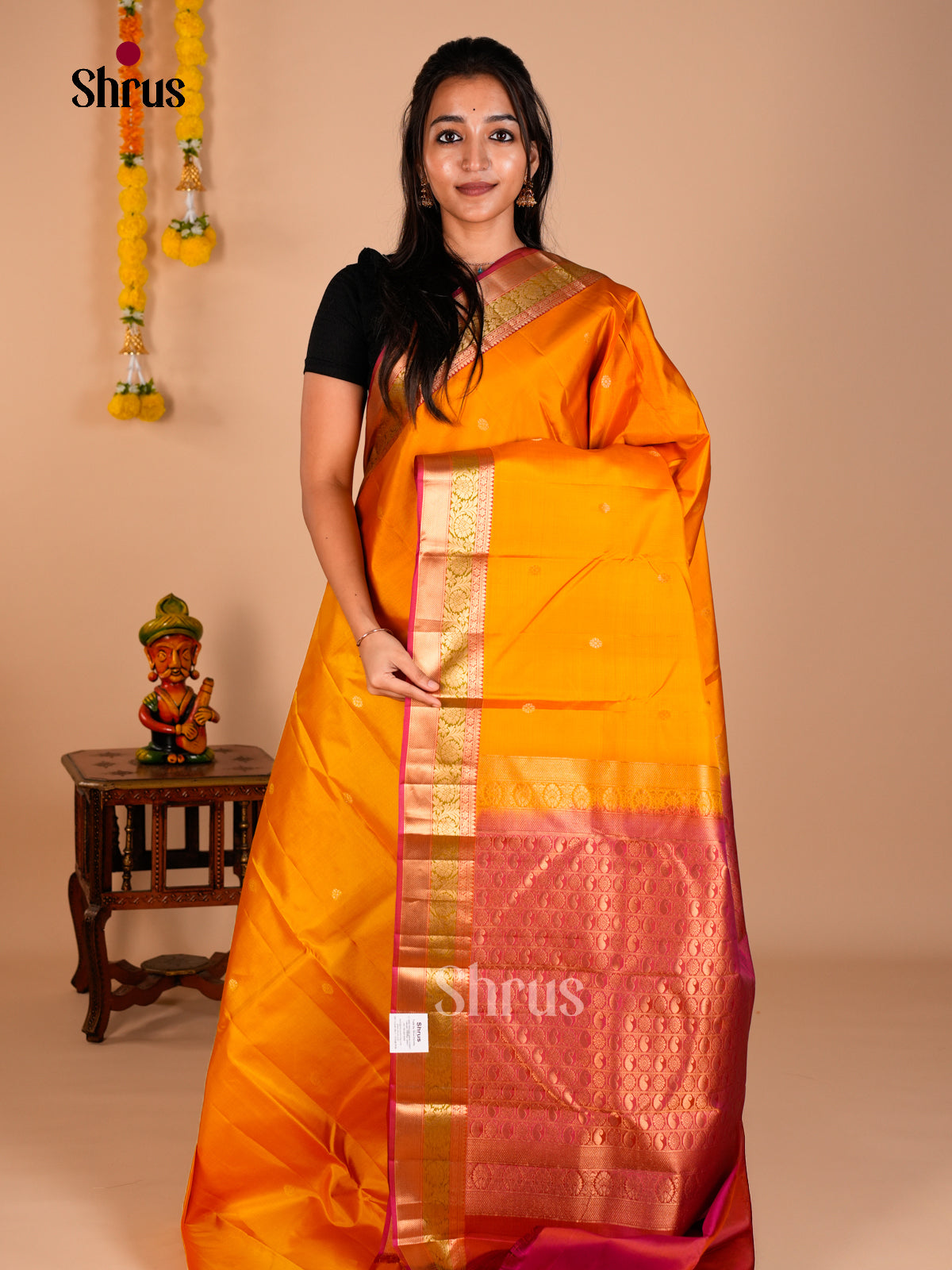Kanchipuram silk Saree - ECS06229 - Shop on Shrus.com