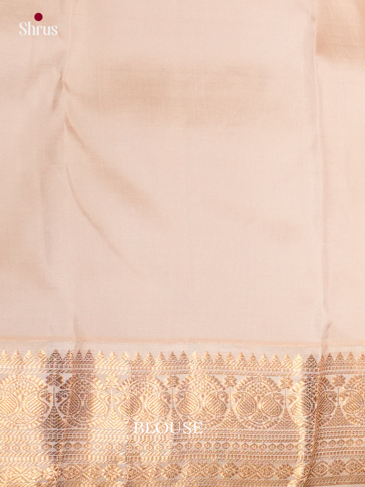 Kanchipuram silk Saree - ECS06230 - Shop on Shrus.com