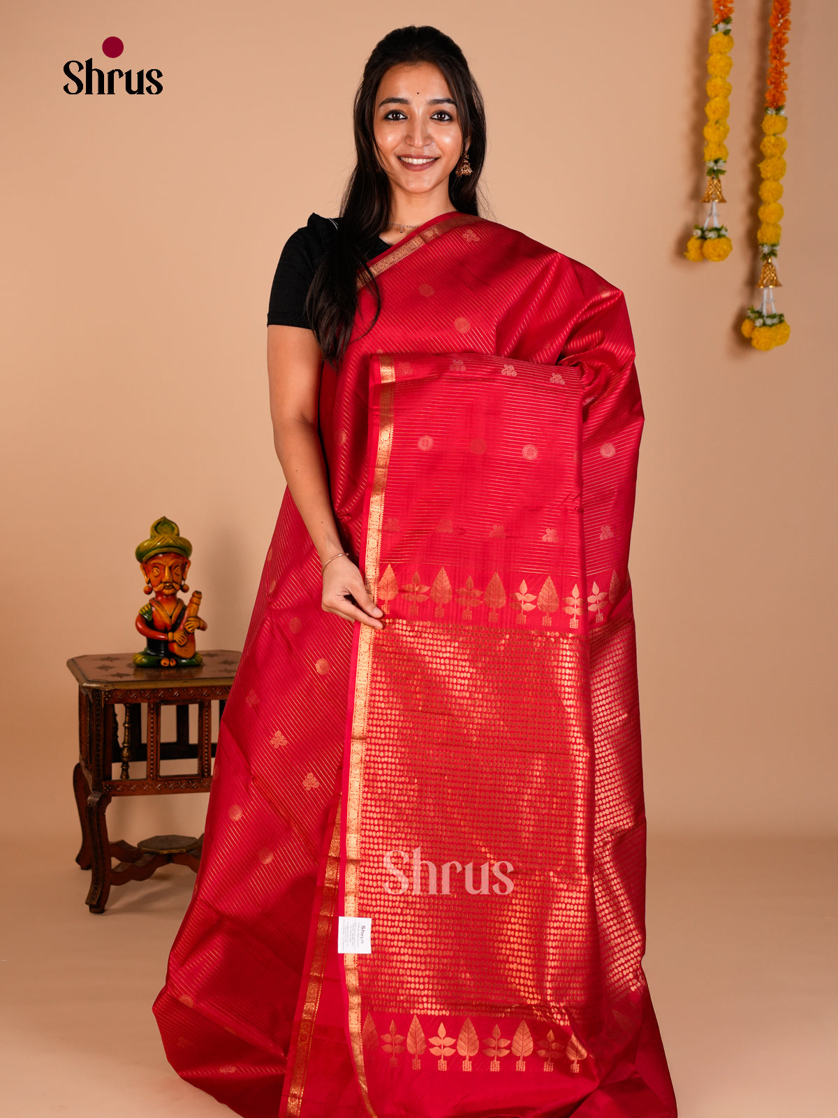 Kanchipuram silk Saree - ECS06246 - Shop on Shrus.com