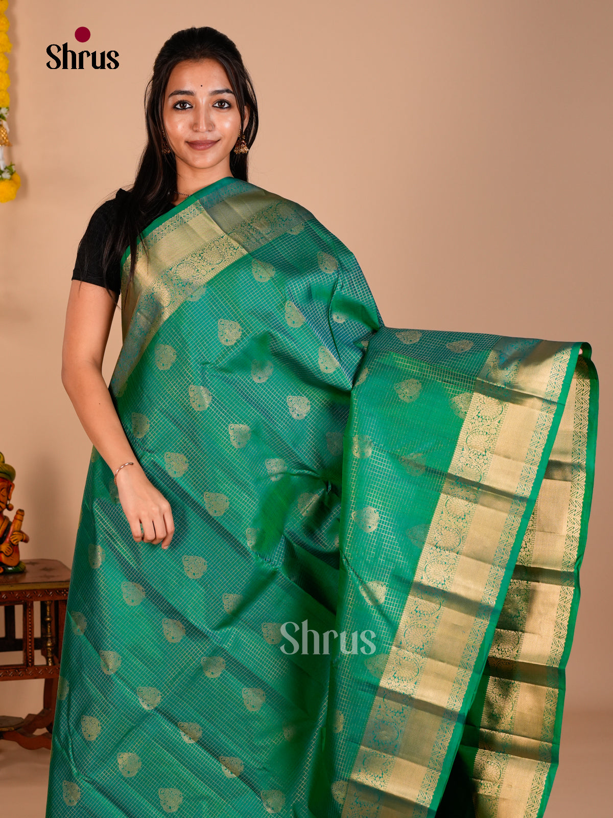 Kanchipuram silk Saree - ECS06255 - Shop on Shrus.com