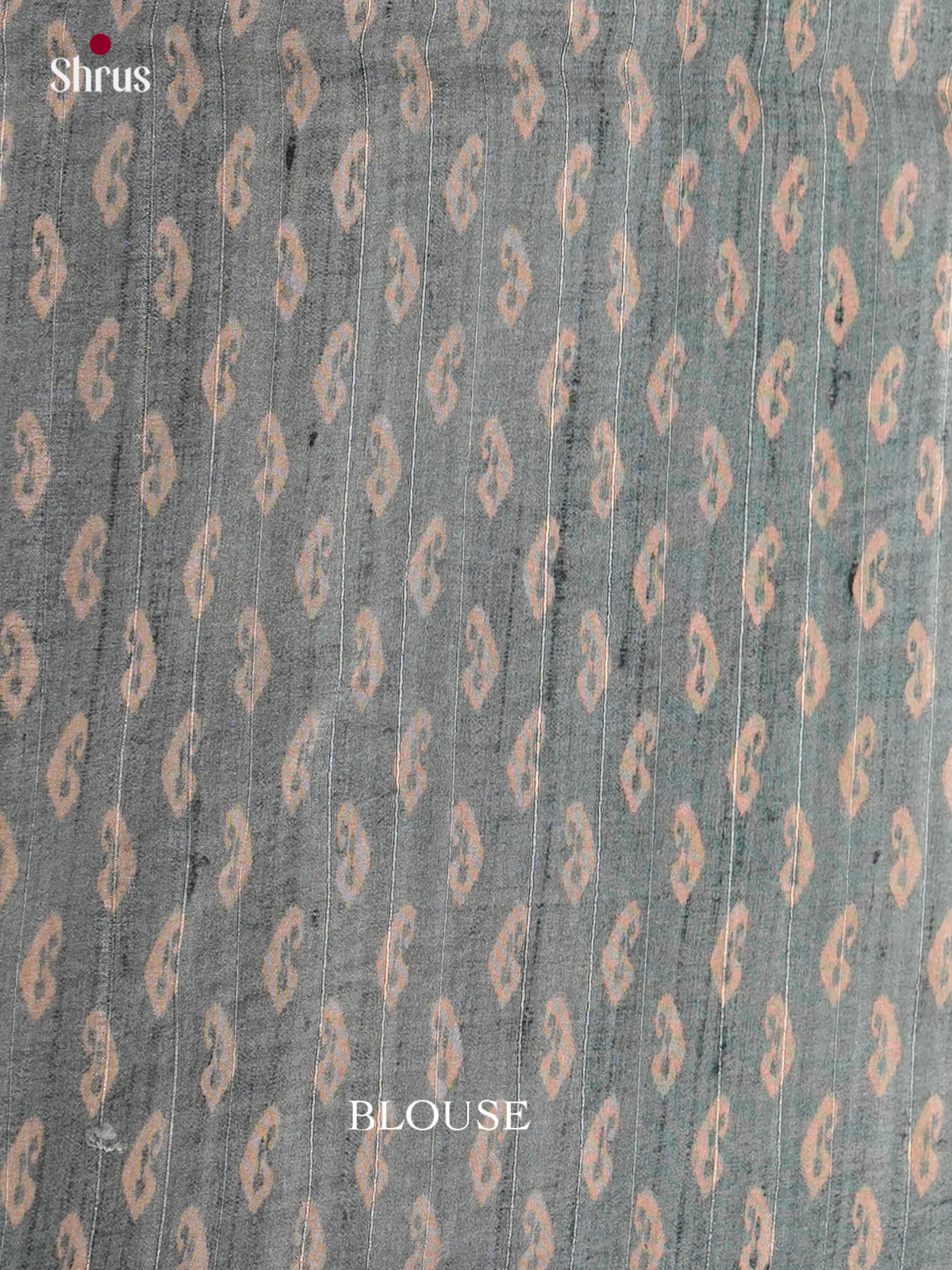 Printed Semi Tussar Saree - ECS12046 - Shop on Shrus.com