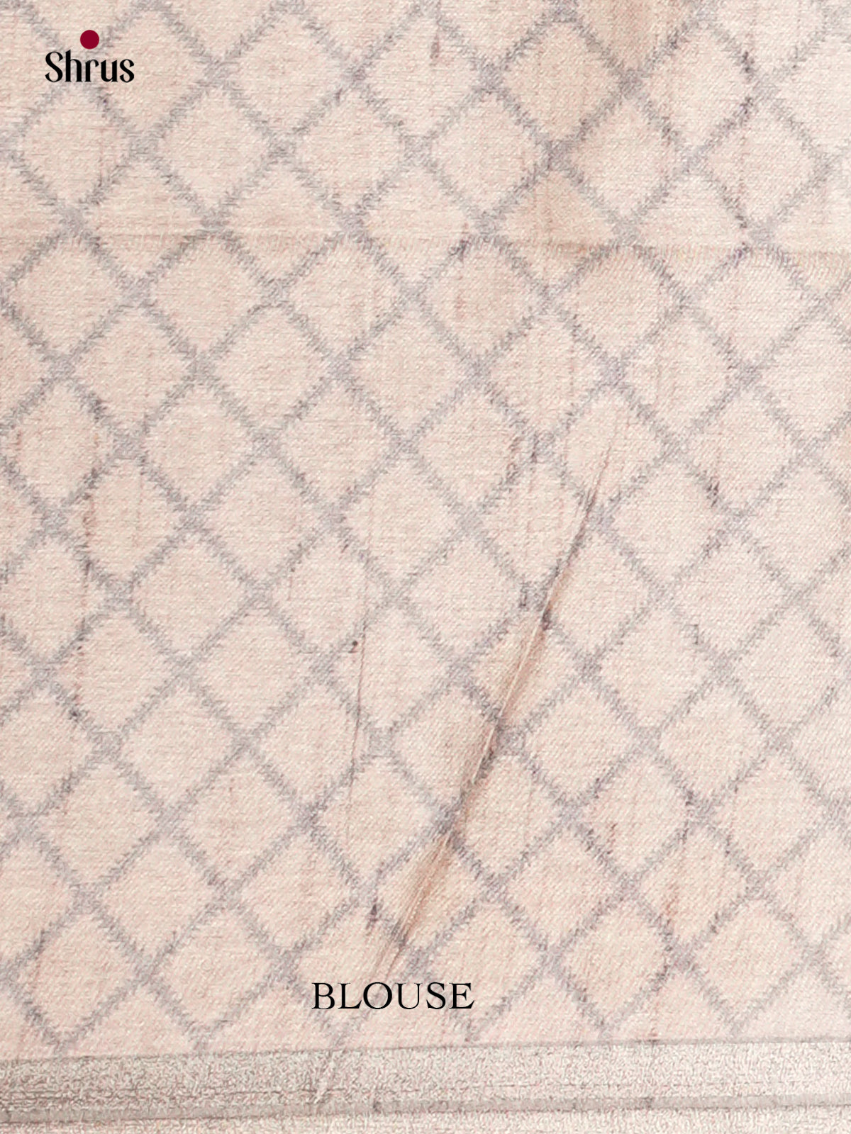 Printed Semi Tussar Saree - ECS12073 - Shop on Shrus.com