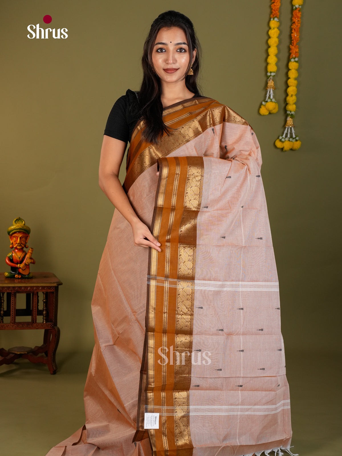 Chettinad Cotton Saree - ECS26020 - Shop on Shrus.com