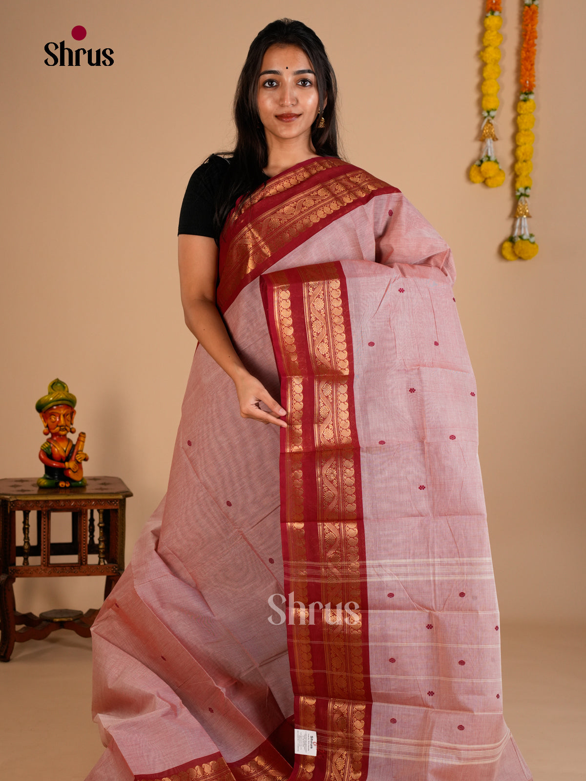 Chettinad Cotton Saree - ECS26022 - Shop on Shrus.com