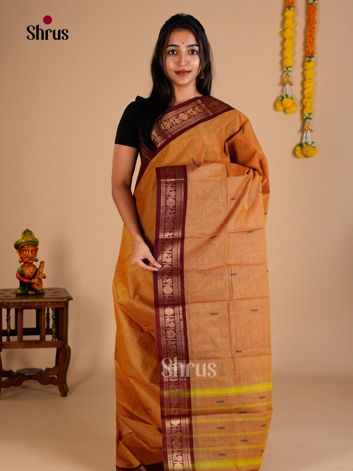 Chettinad Cotton Saree - ECS26028 - Shop on Shrus.com