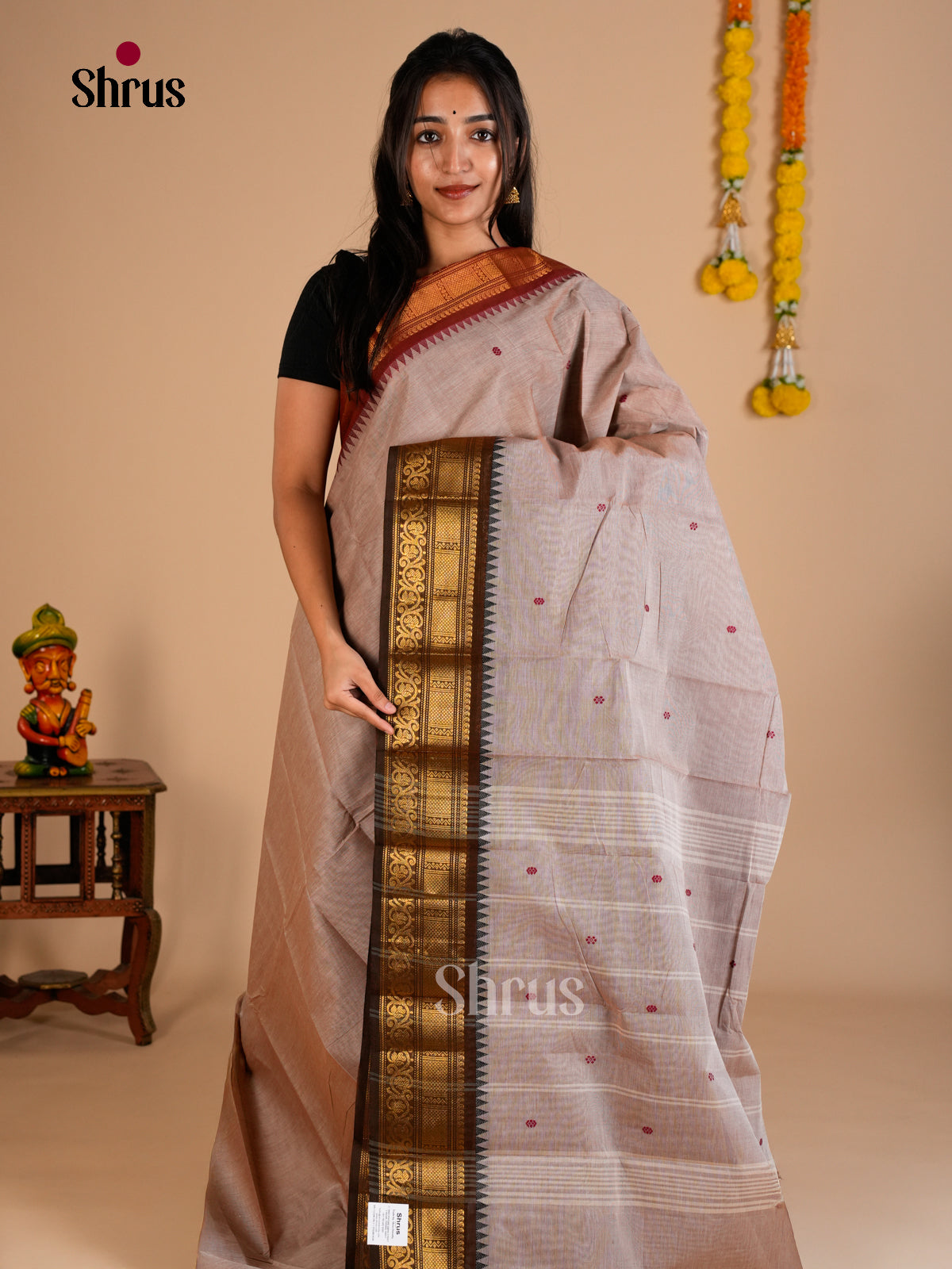 Chettinad Cotton Saree - ECS26050 - Shop on Shrus.com