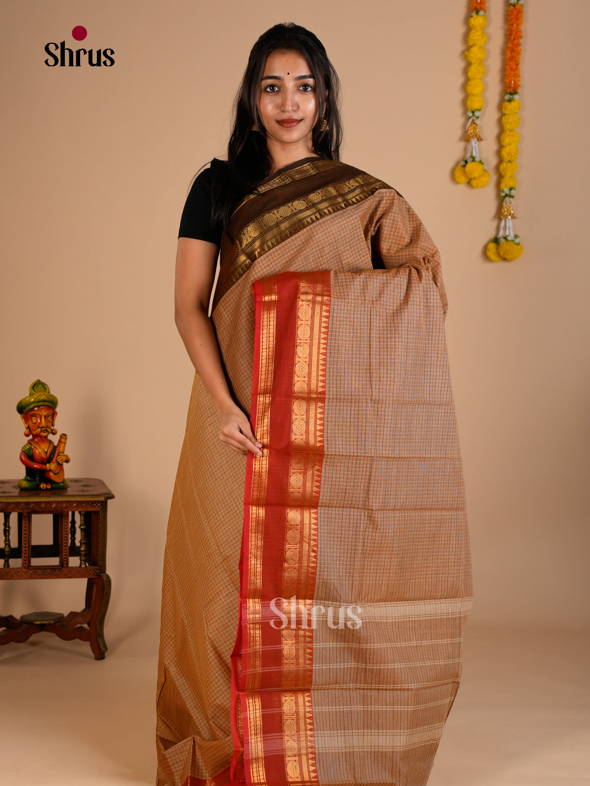 Chettinad Cotton Saree - ECS26073 - Shop on Shrus.com