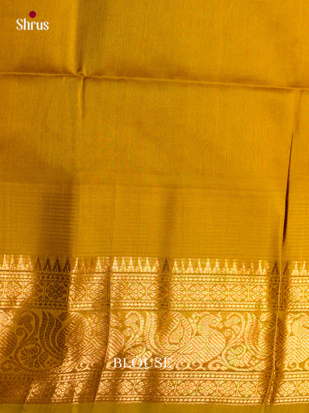 Silk Cotton Saree - ECS27041 - Shop on Shrus.com