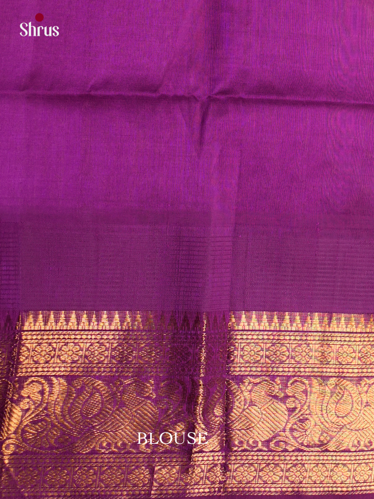 Silk Cotton Saree - ECS27042 - Shop on Shrus.com
