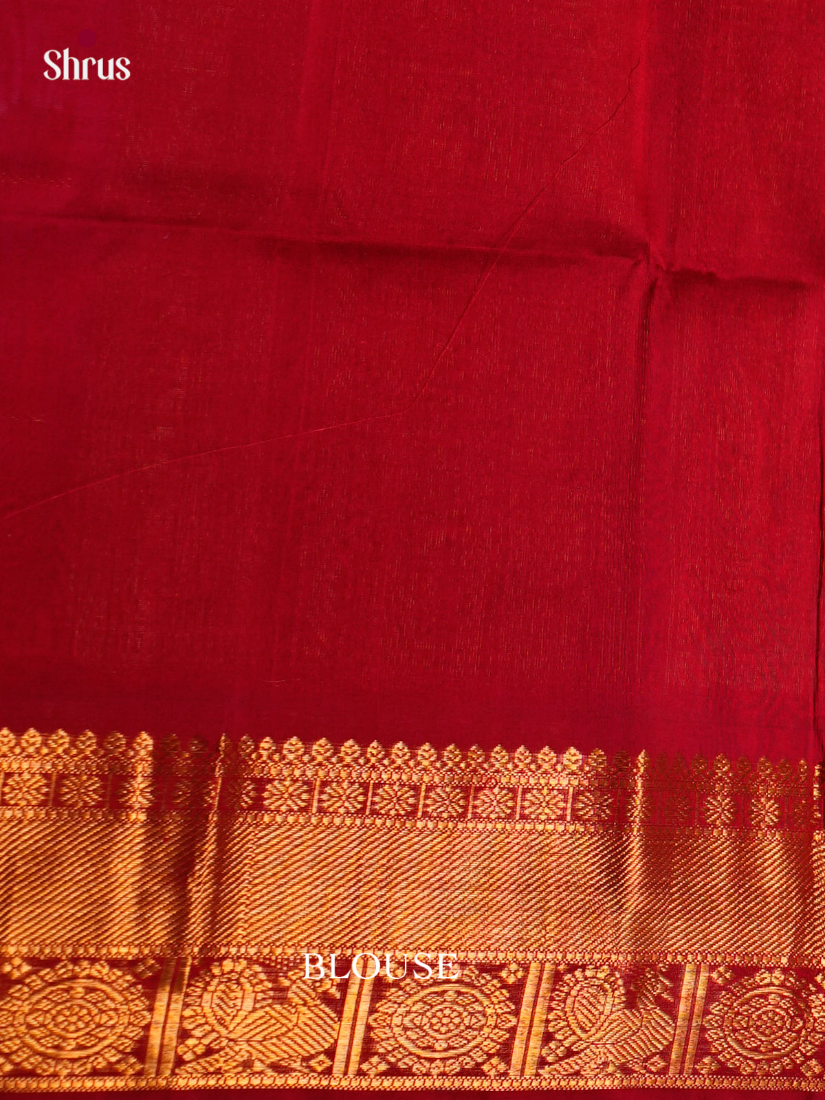 Silk Cotton Saree - ECS27072 - Shop on Shrus.com