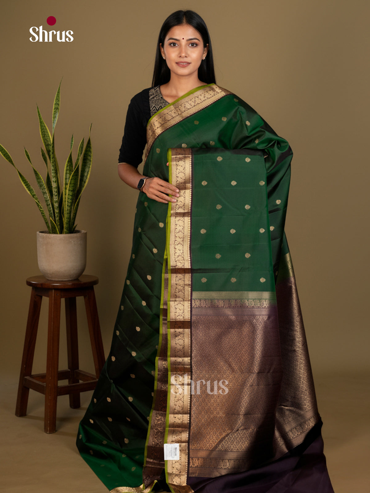 Kanchipuram silk Saree - EDS04015 - Shop on Shrus.com