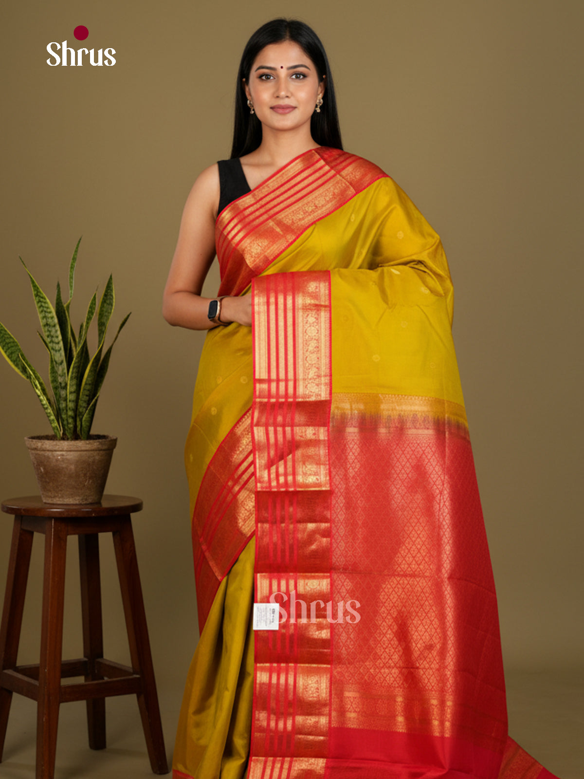 Kanchipuram silk Saree - EDS04088 - Shop on Shrus.com