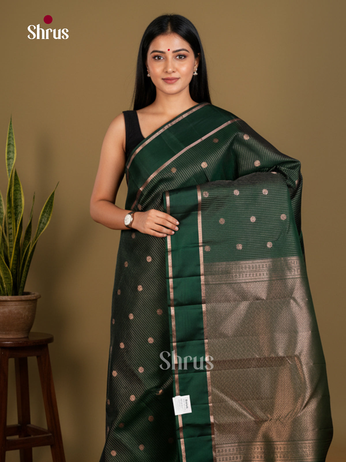 Kanchipuram silk Saree - EDS04089