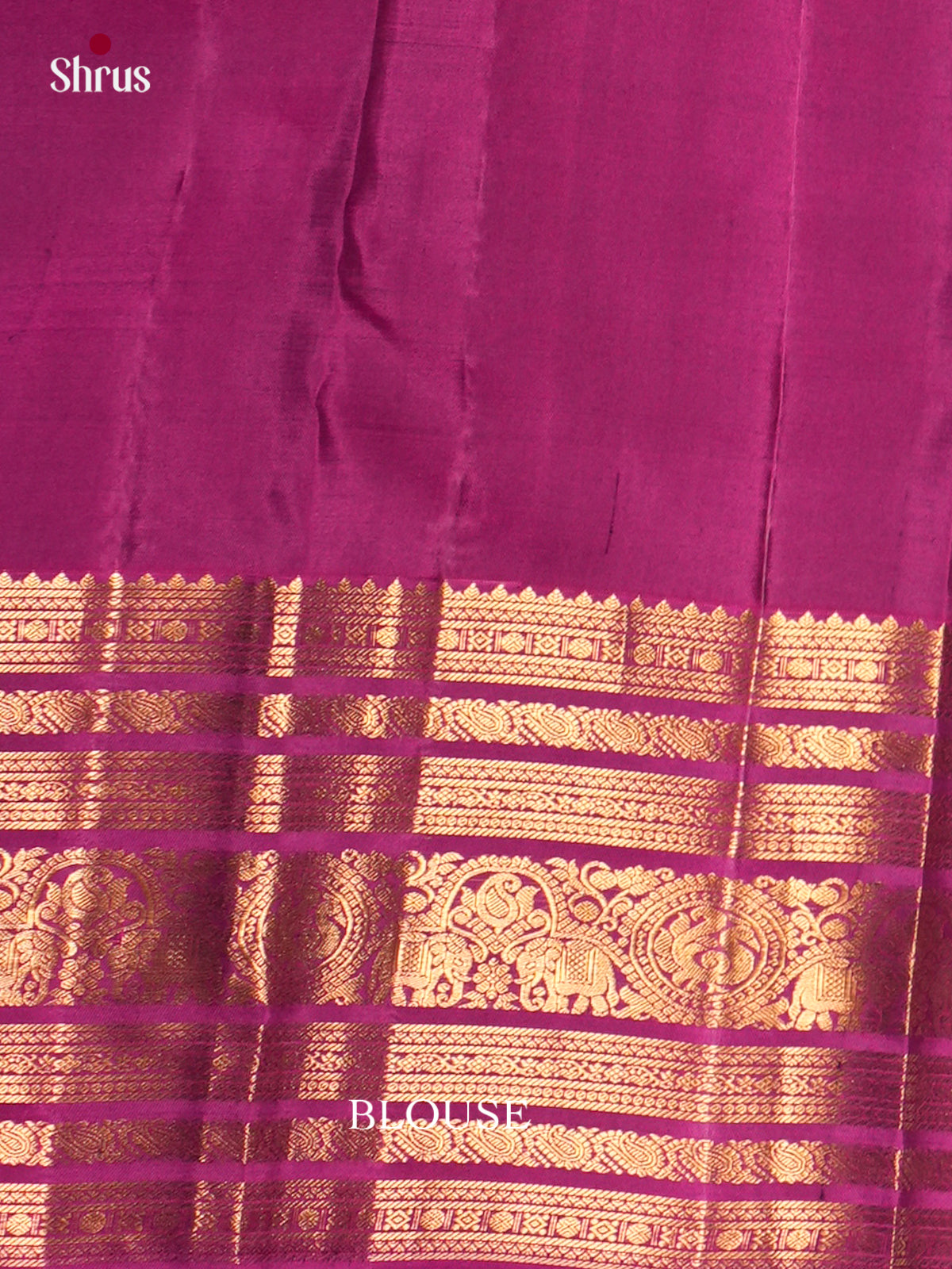 Kanchipuram silk Saree - EDS04119 - Shop on Shrus.com