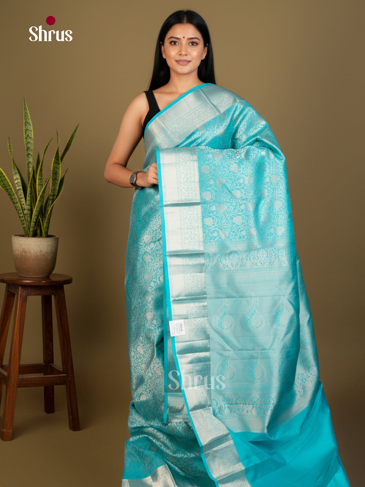 Kanchipuram silk Saree - EDS04157 - Shop on Shrus.com