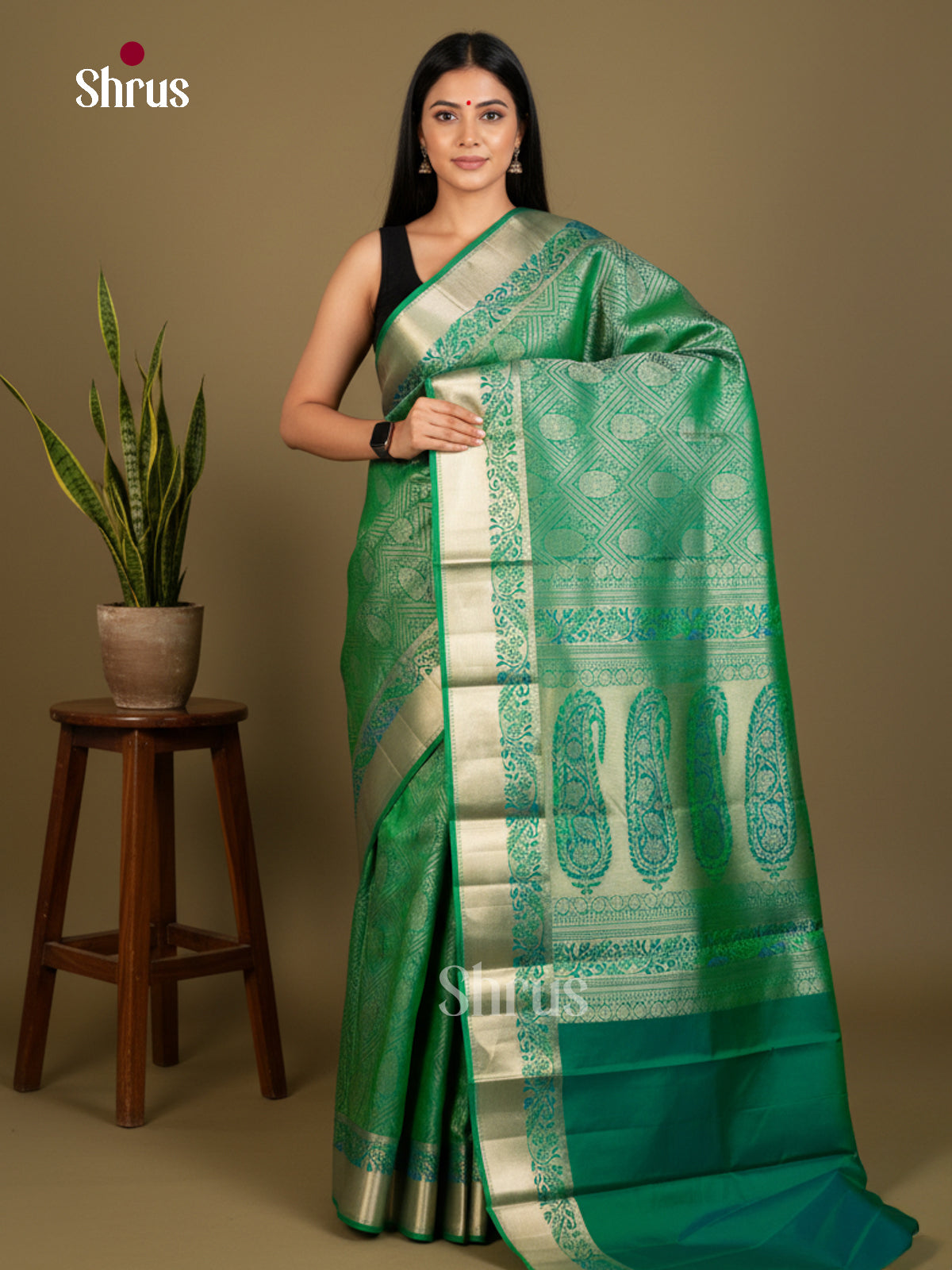 Kanchipuram silk Saree - EDS04161