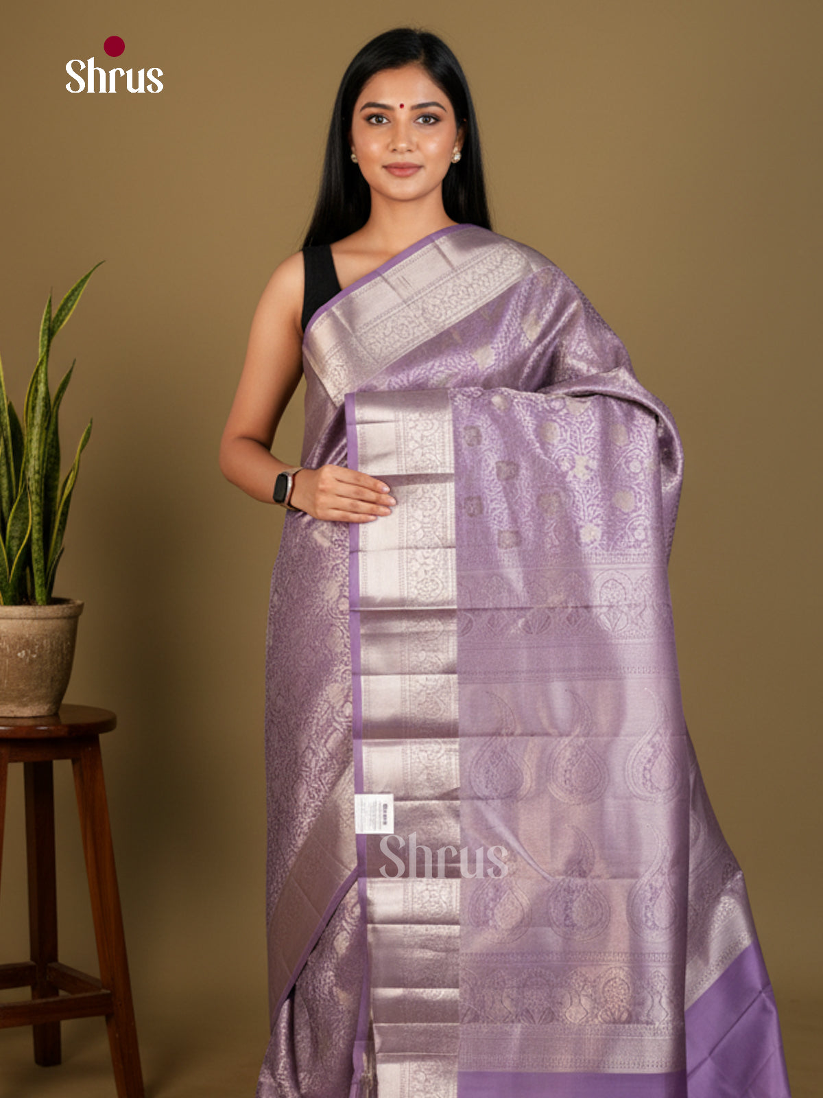 Kanchipuram silk Saree - EDS04162 - Shop on Shrus.com