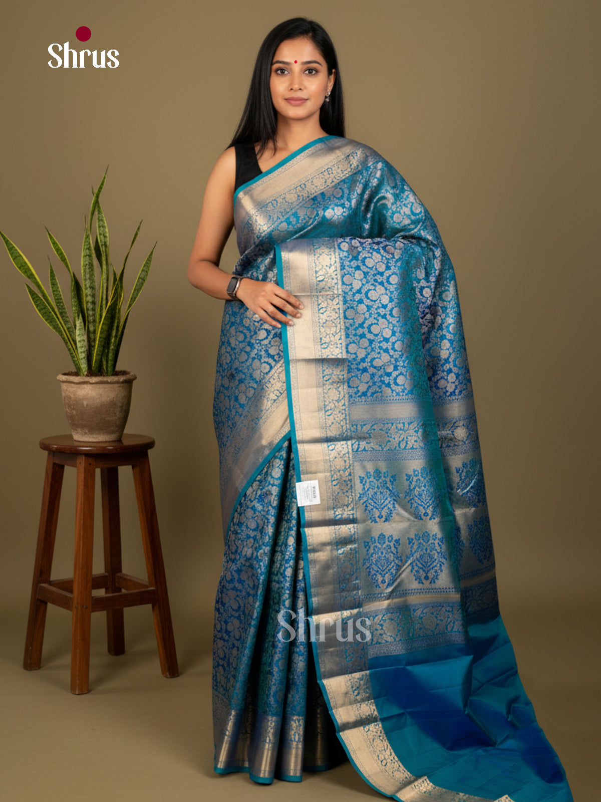 Kanchipuram silk Saree - EDS04163 - Shop on Shrus.com