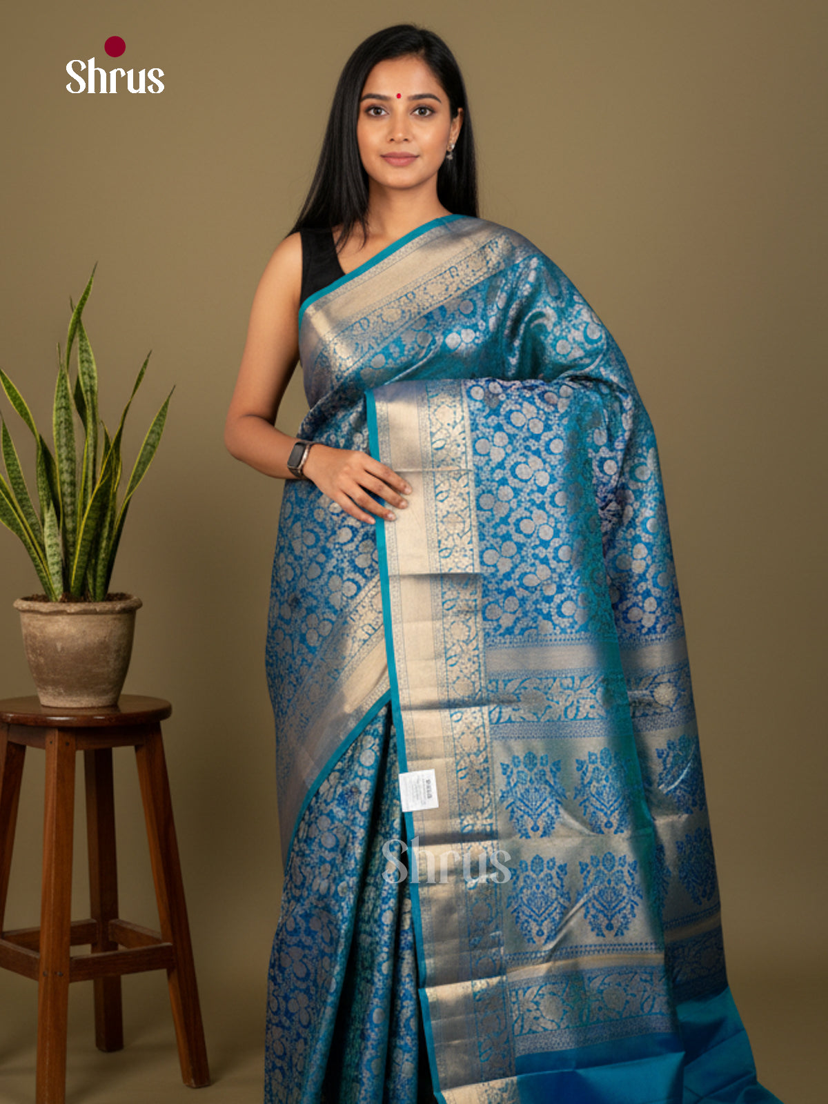 Kanchipuram silk Saree - EDS04163 - Shop on Shrus.com